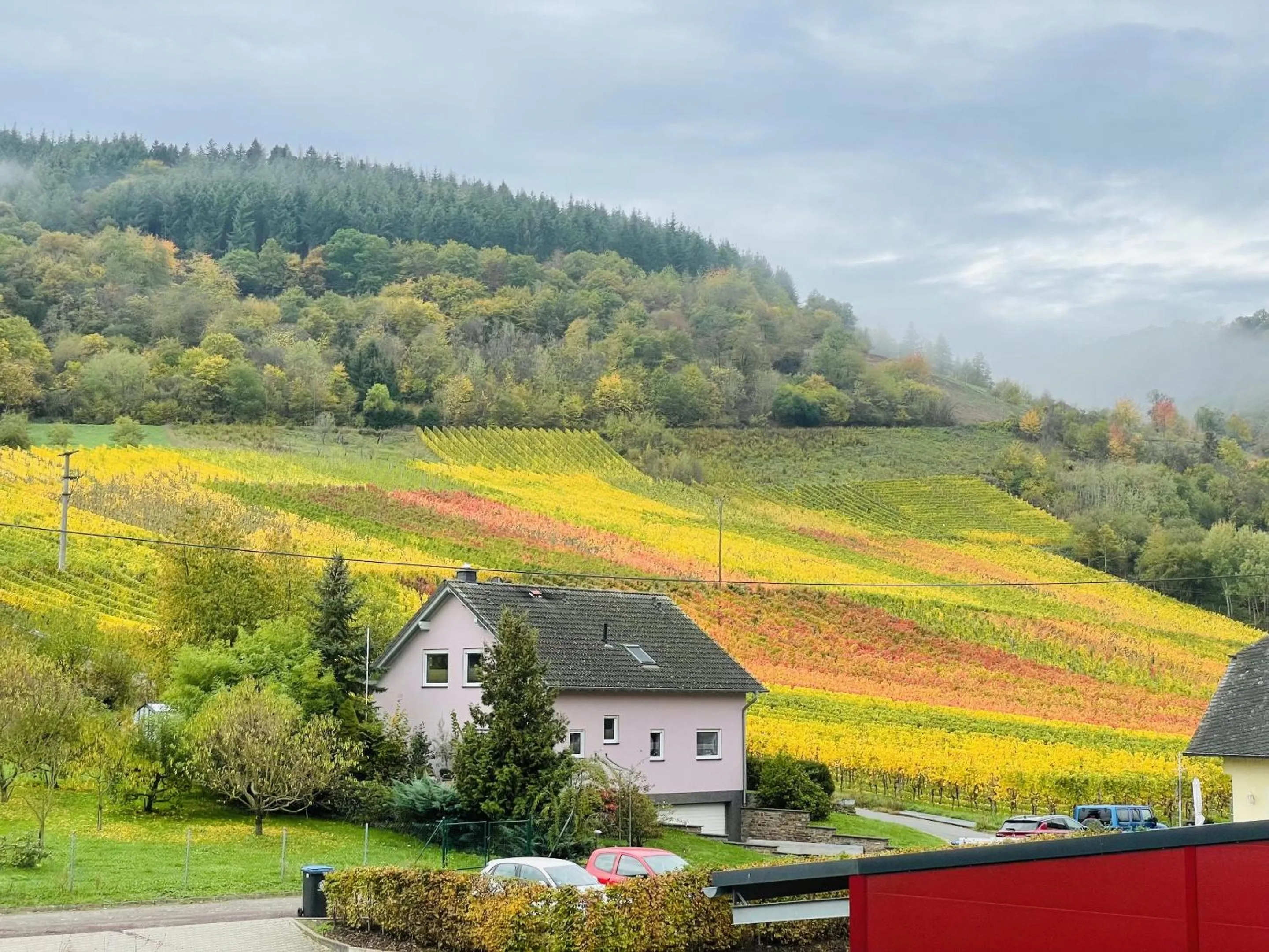 Property building in Weinbergs Loge