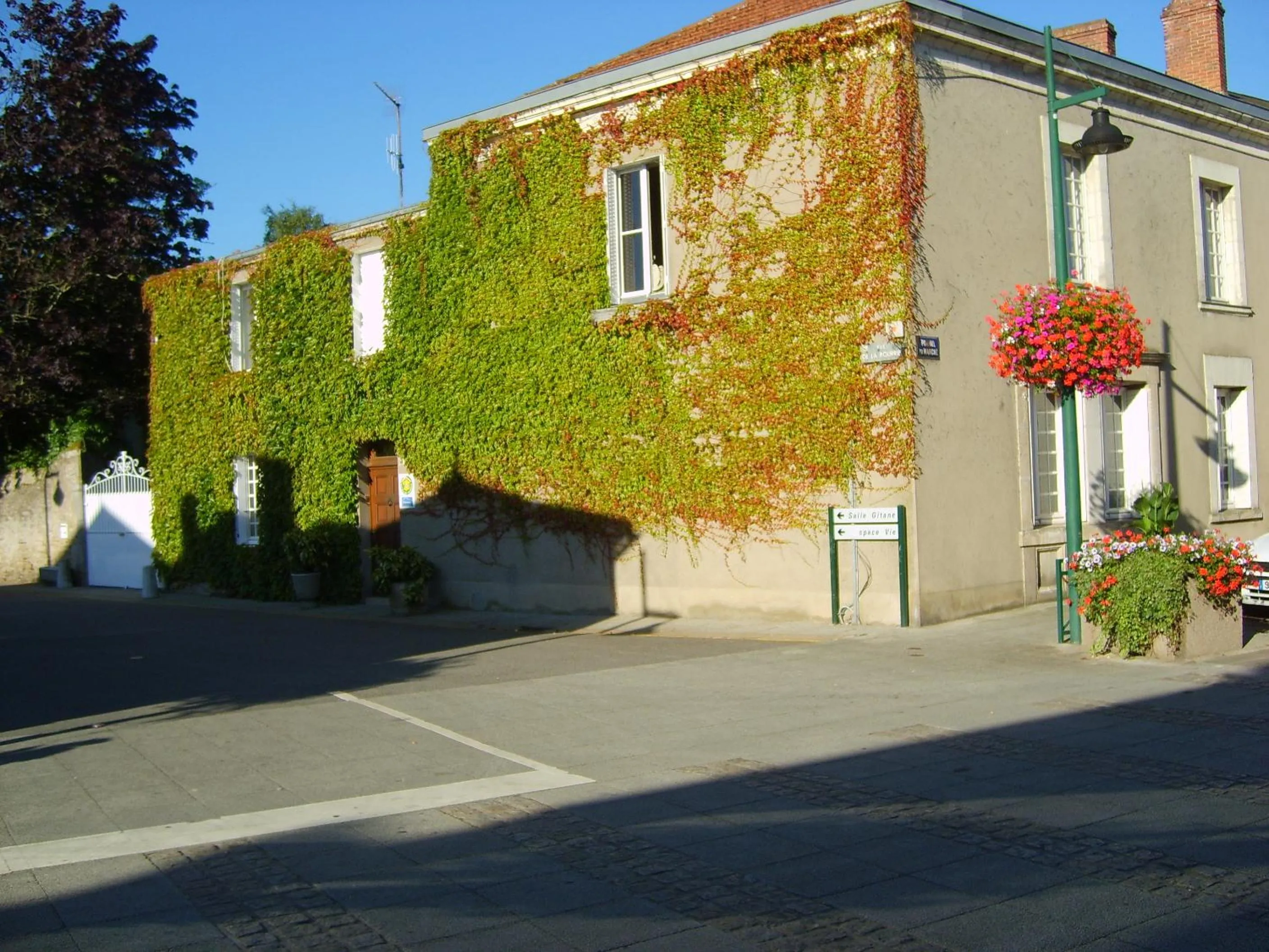 Property building in Lalobema