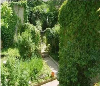 Garden view in Lalobema