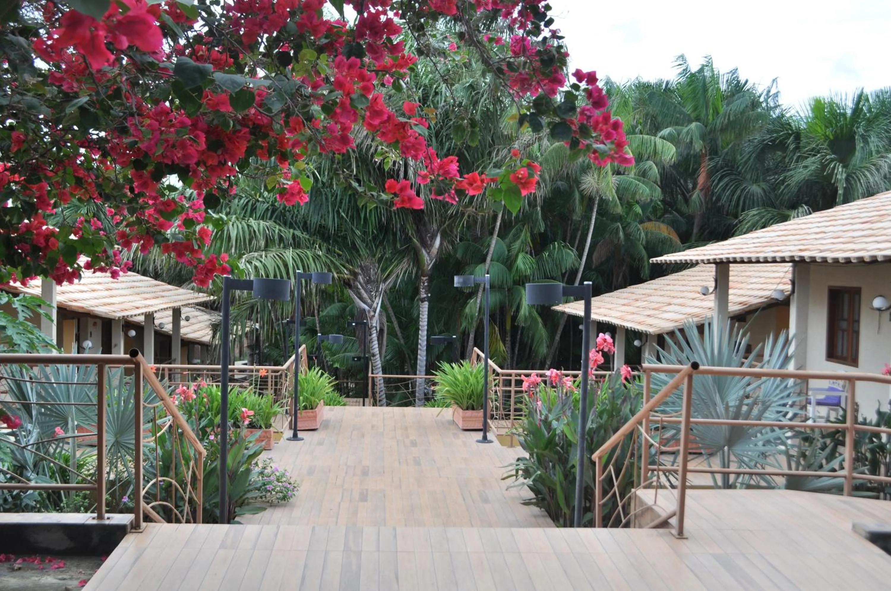 Garden in Pousada Boa Vista