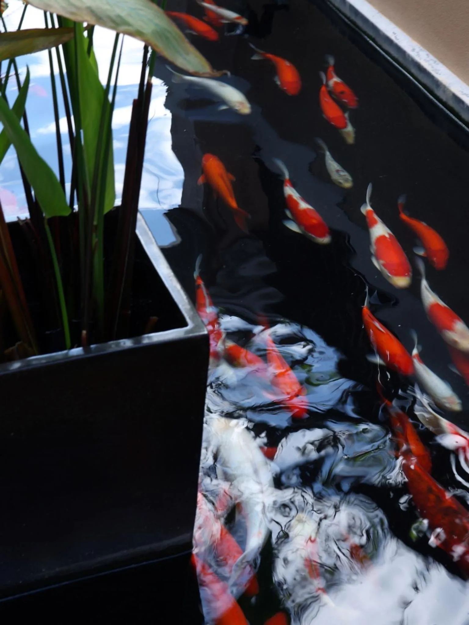 Decorative detail in Amari Vogue Krabi