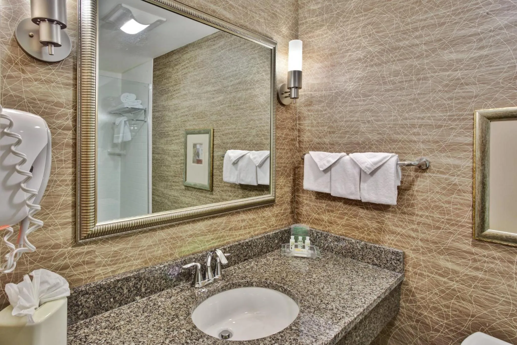 Bathroom in Holiday Inn Detroit Metro Airport by IHG