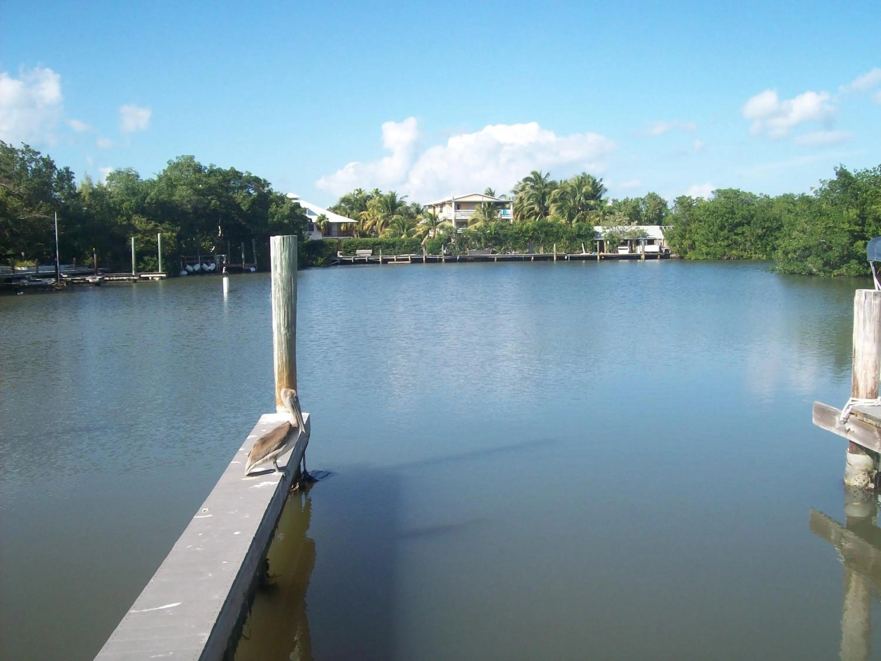 Area and facilities in Kingsail Resort