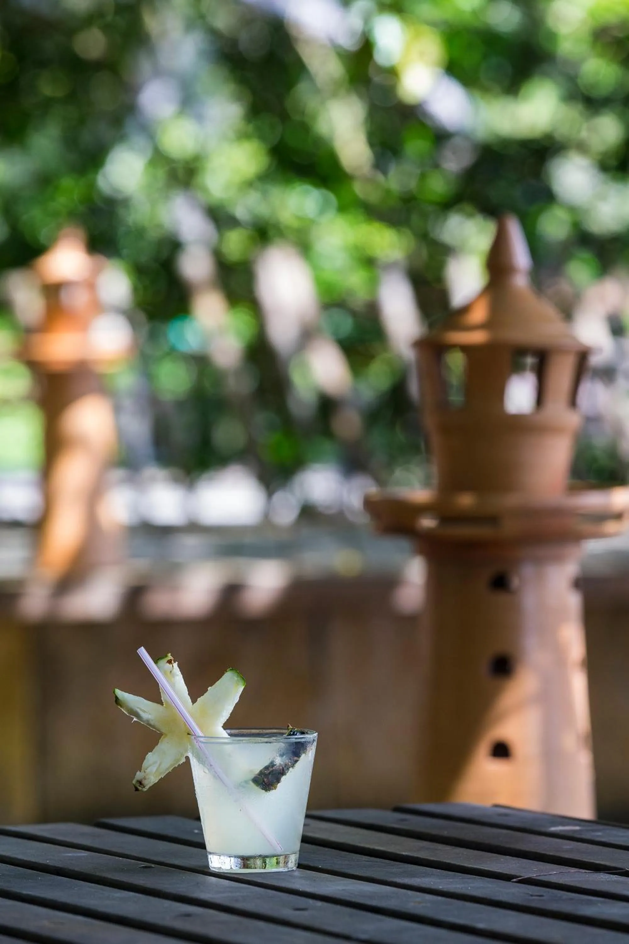 Decorative detail in Pousada Do Rio Barreirinhas