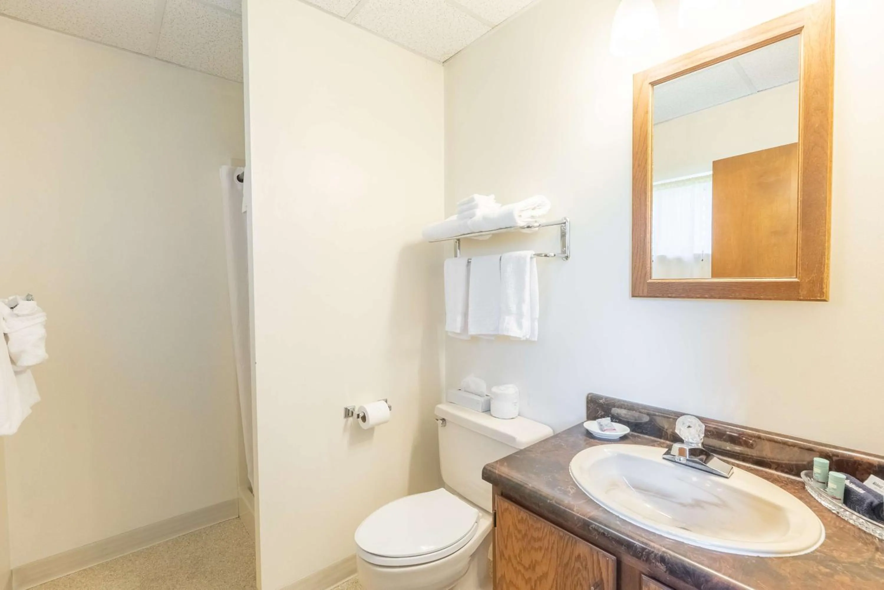 Bathroom in Fireside Inn and Suites Bangor