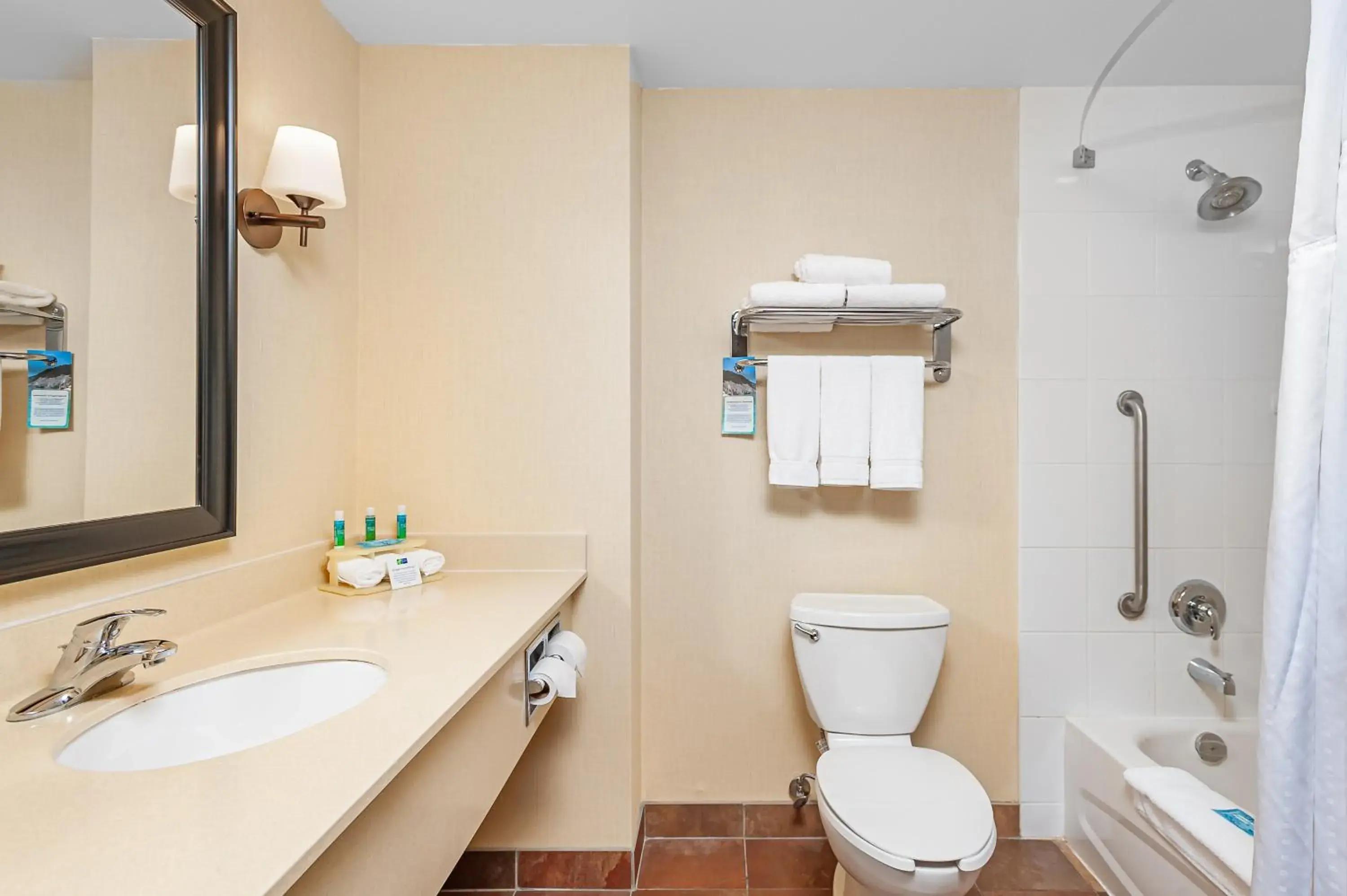 Bathroom in Holiday Inn Express Hotel & Suites Clarington - Bowmanville by IHG Bathroom in Holiday Inn Express Hotel & Suites Clarington - Bowmanville by IHG