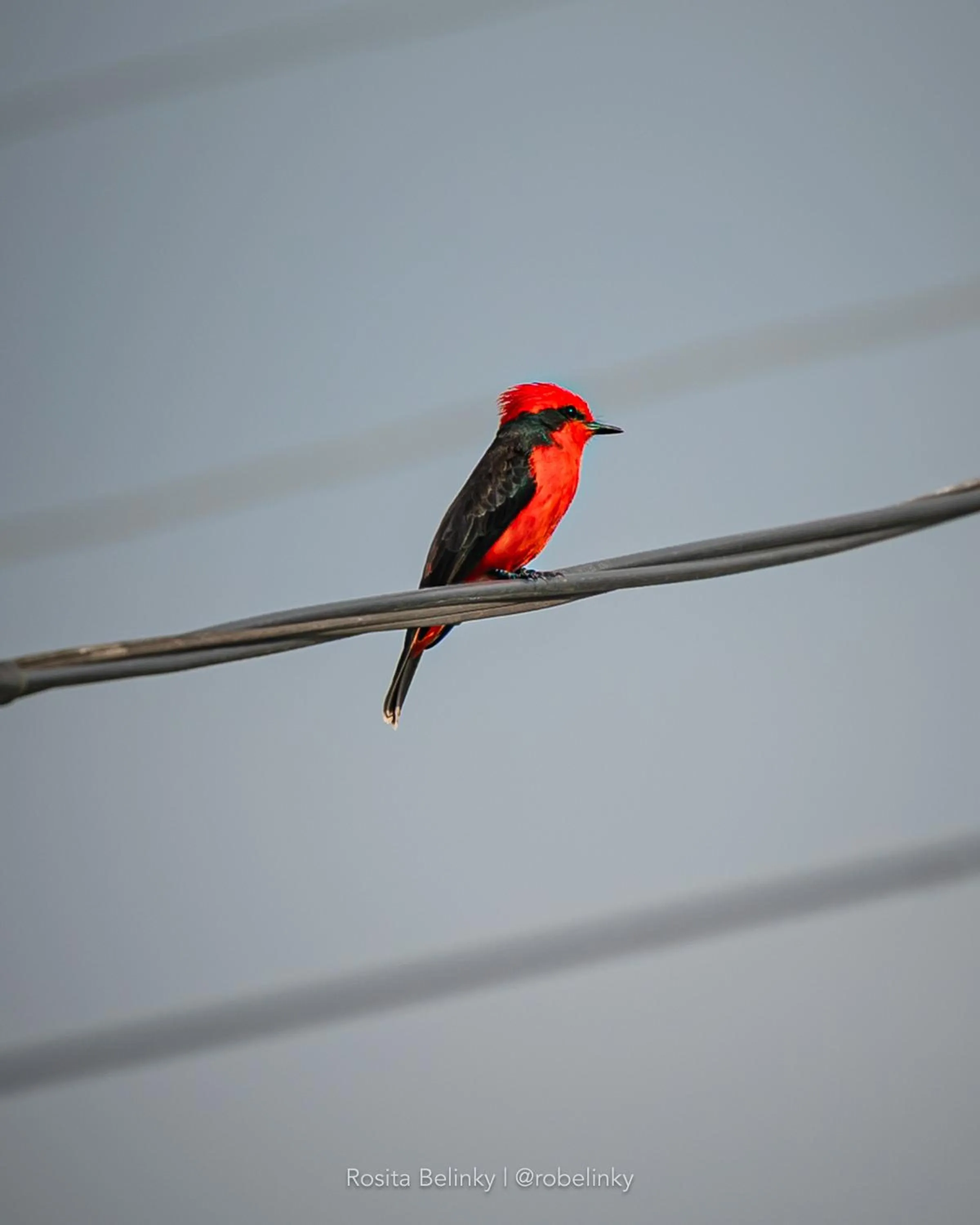 Natural landscape in Hotel campestre La Floresta