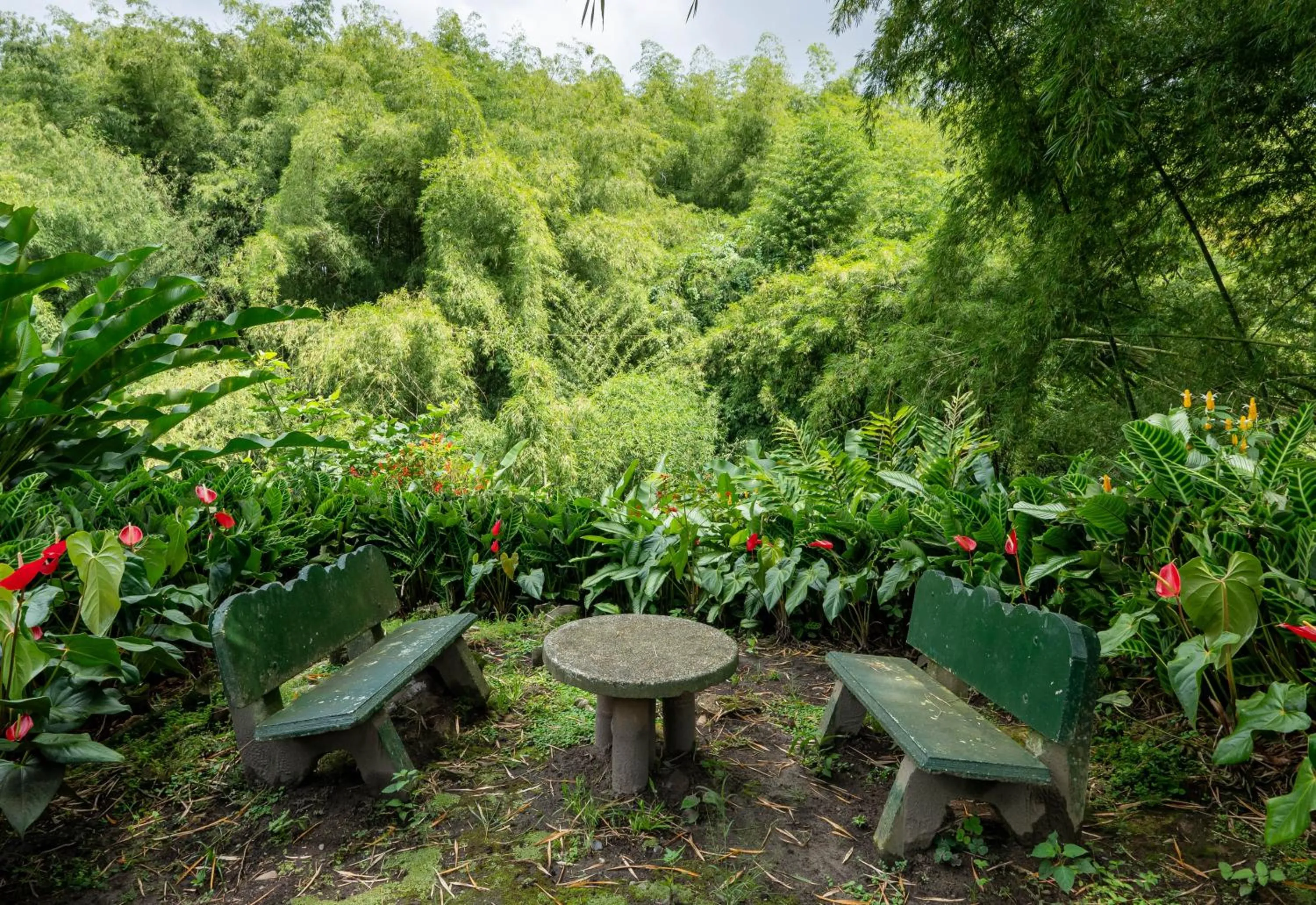 Spring in Hotel campestre La Floresta
