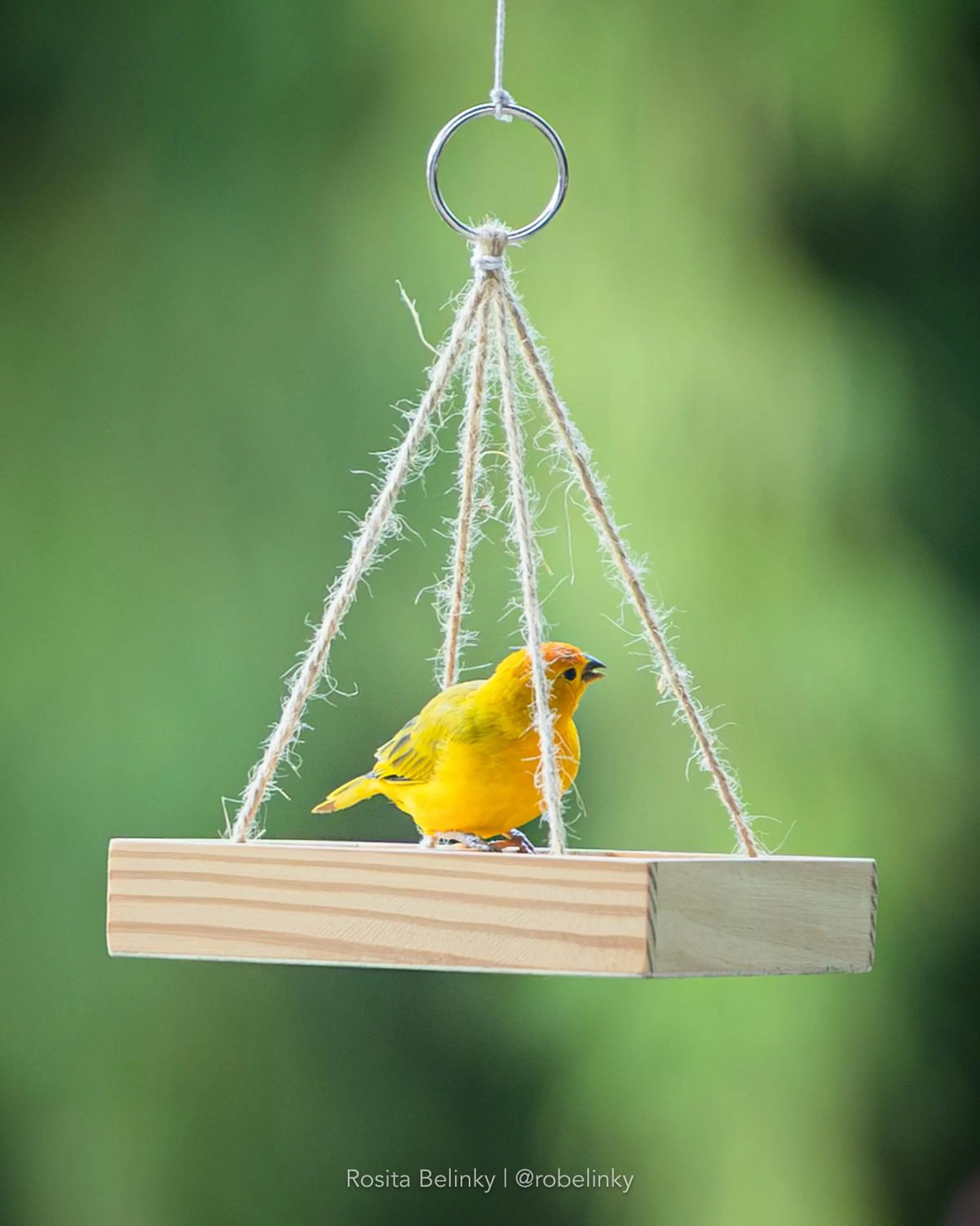 Day in Hotel campestre La Floresta