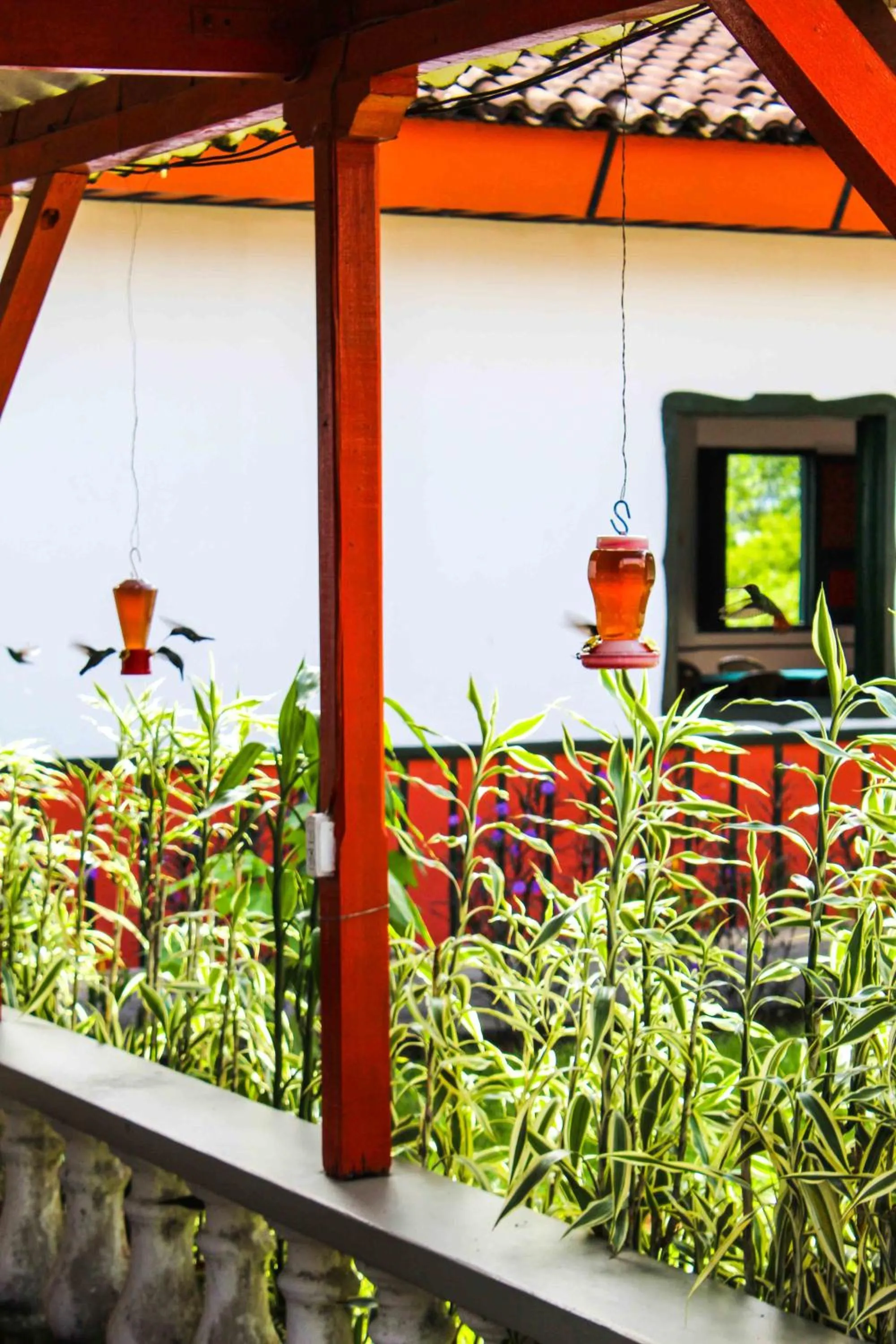 Spring in Hotel campestre La Floresta