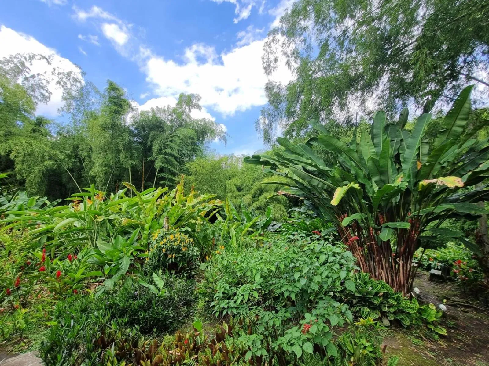 Hiking in Hotel campestre La Floresta