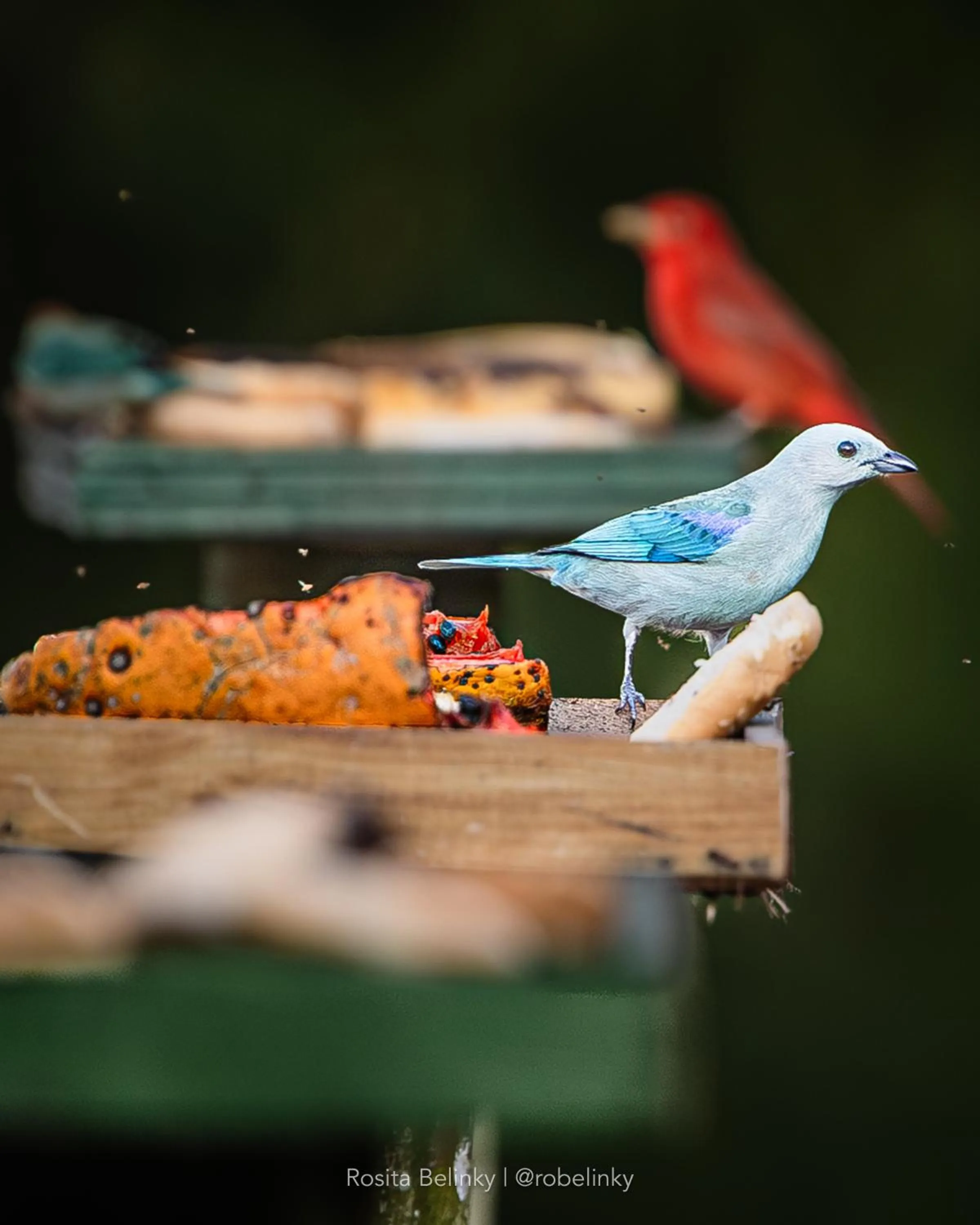 Natural landscape in Hotel campestre La Floresta
