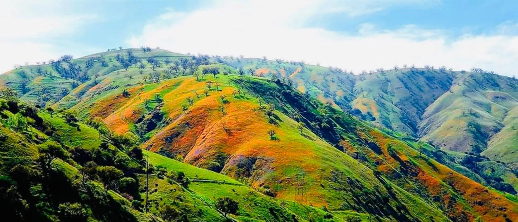 Nearby landmark in Holiday Inn Express & Suites Frazier Park by IHG