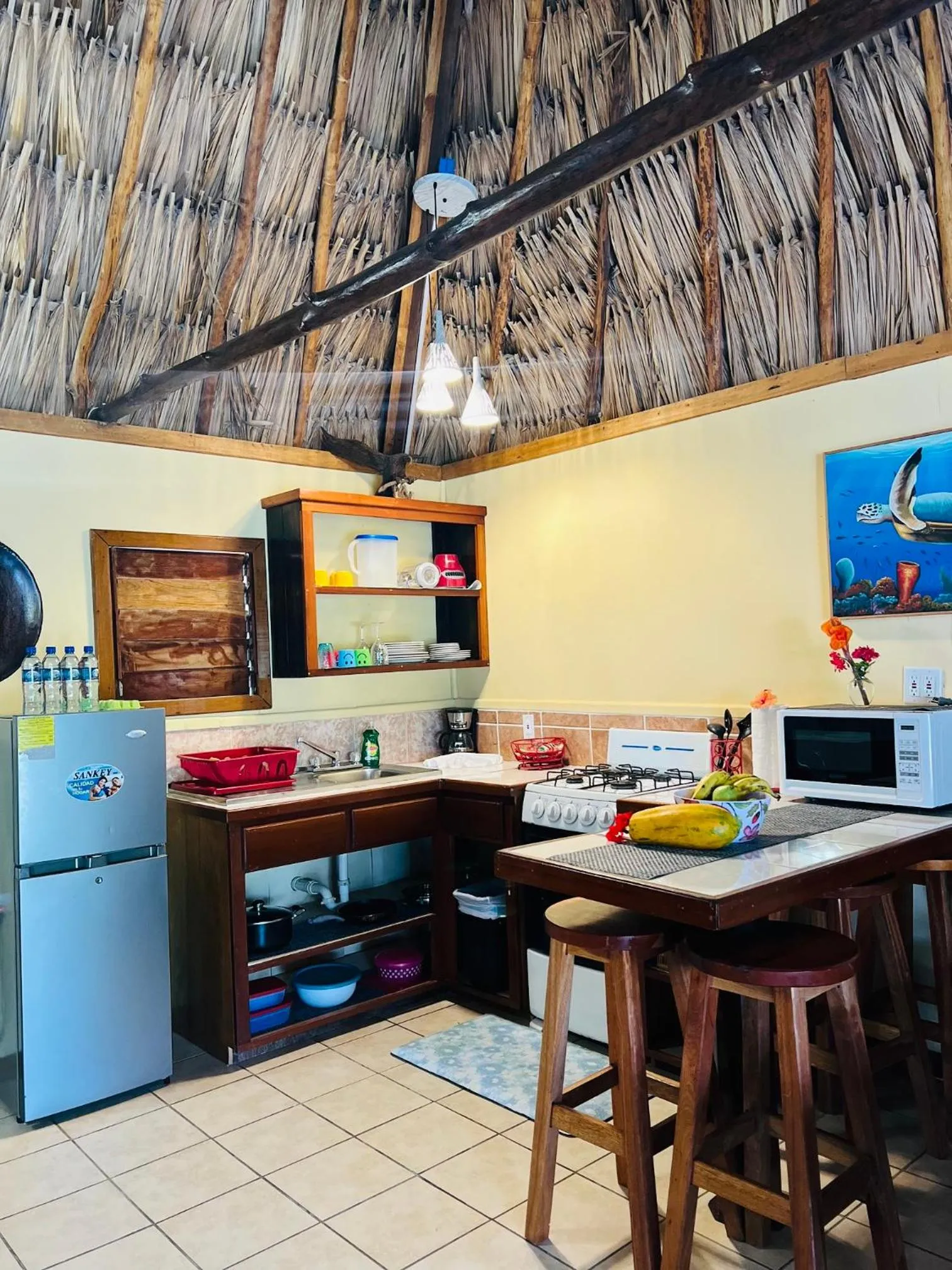Kitchen or kitchenette in Hotel Del Rio