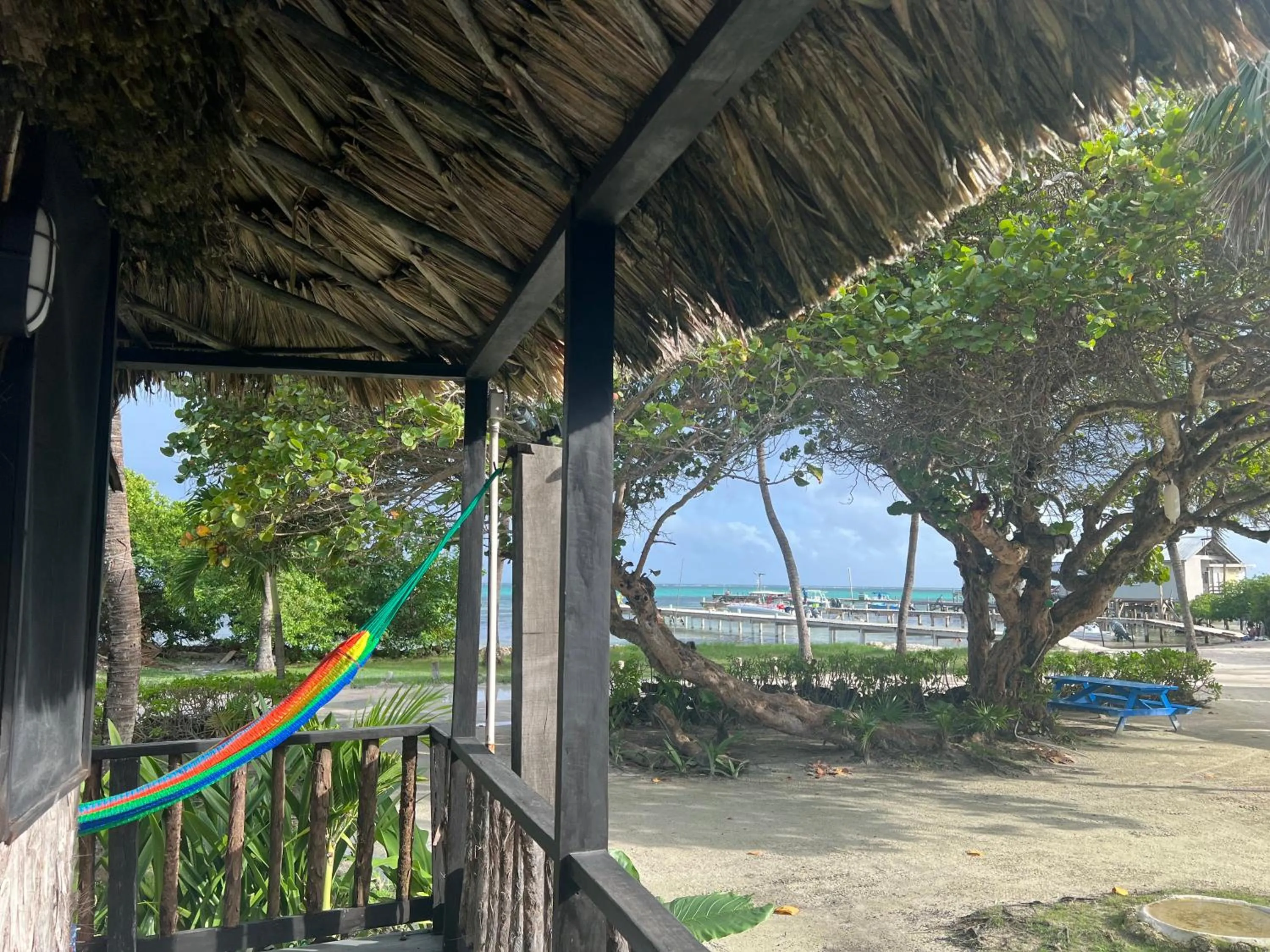 View (from property/room) in Hotel Del Rio