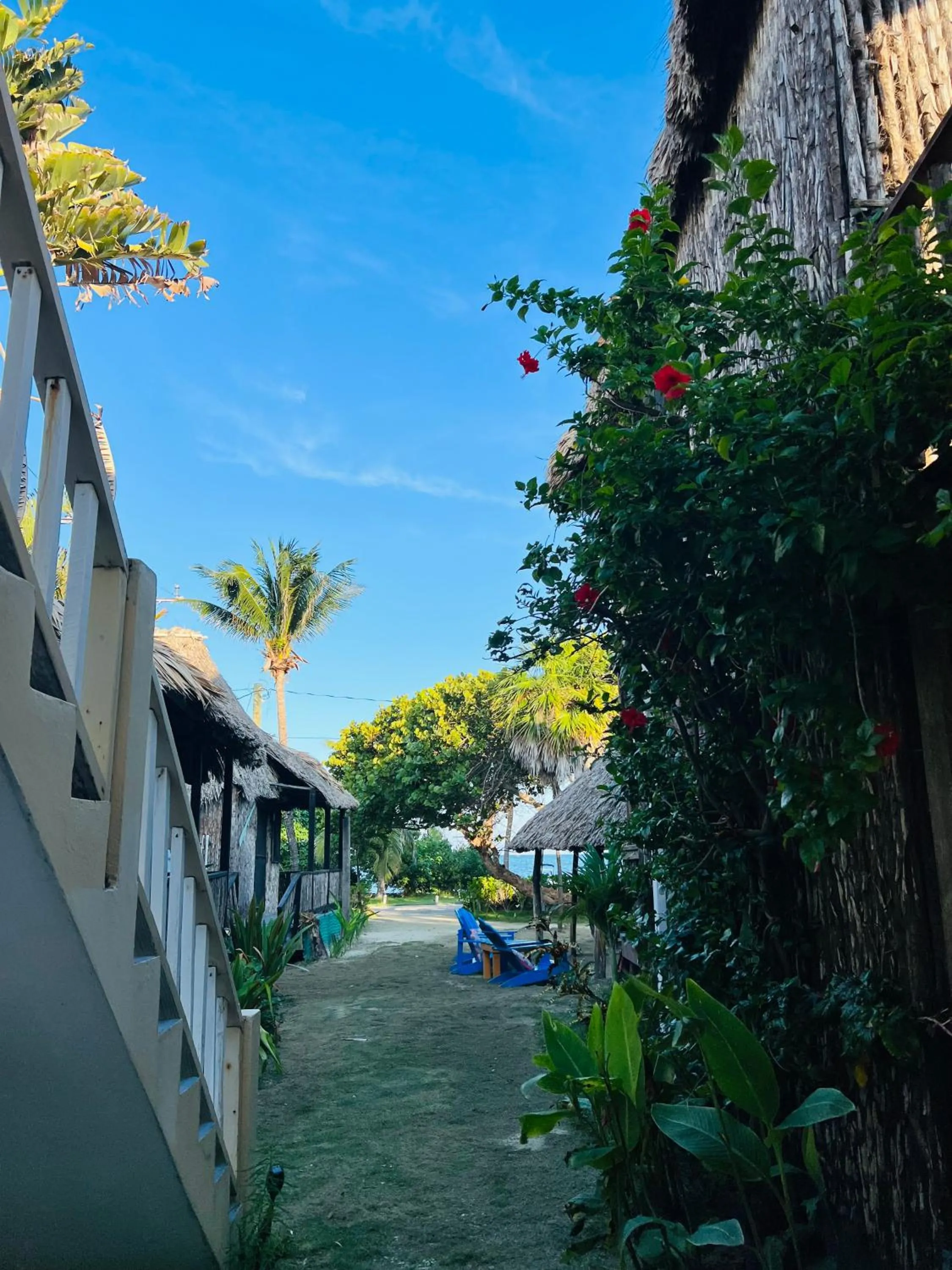 View (from property/room) in Hotel Del Rio