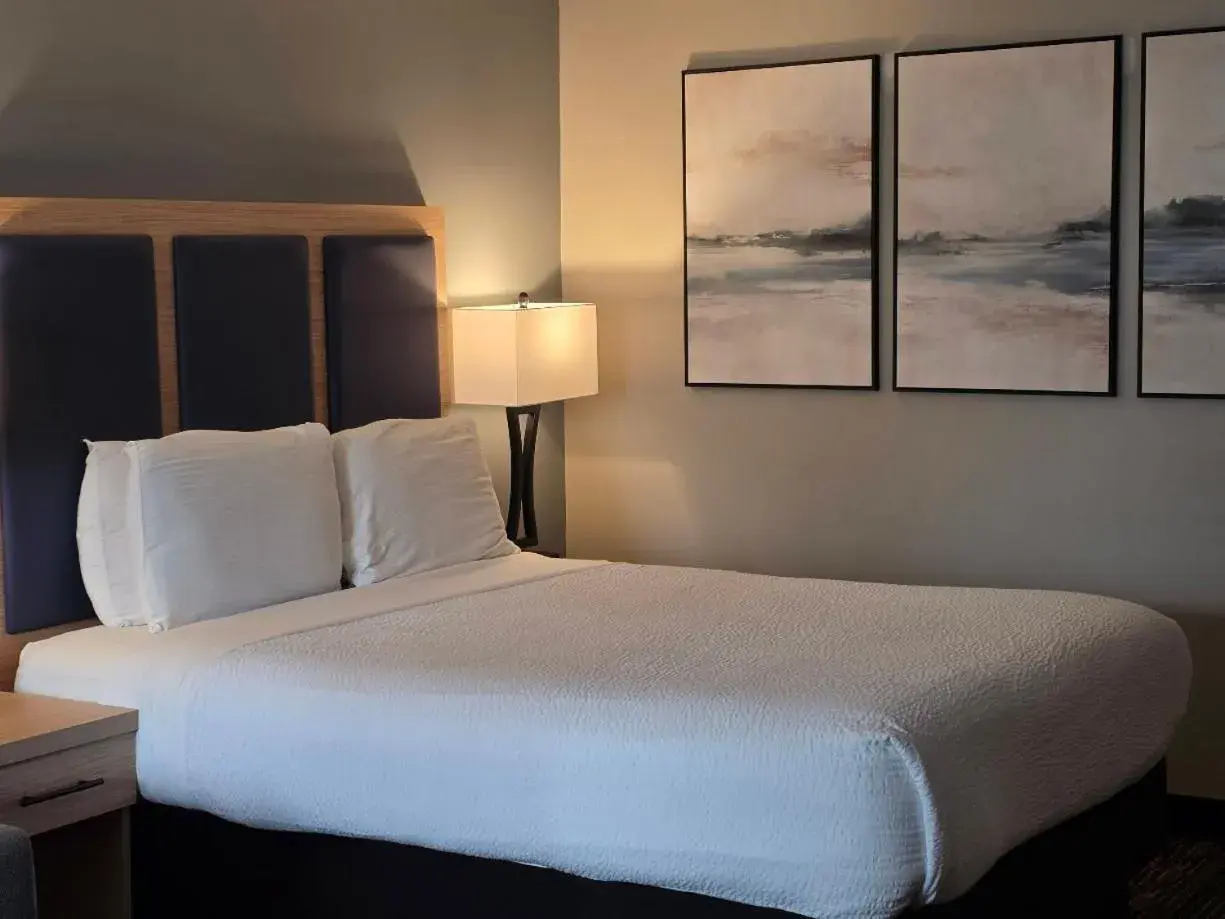 Bed in Courtesy Inn Downtown Eugene Bed in Courtesy Inn Downtown Eugene