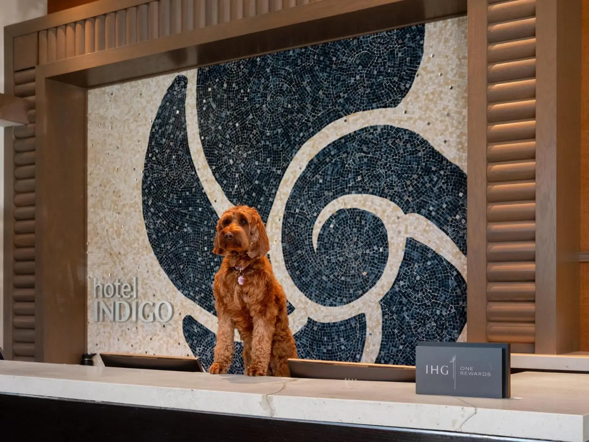 Property building in Hotel Indigo East End by IHG Property building in Hotel Indigo East End by IHG