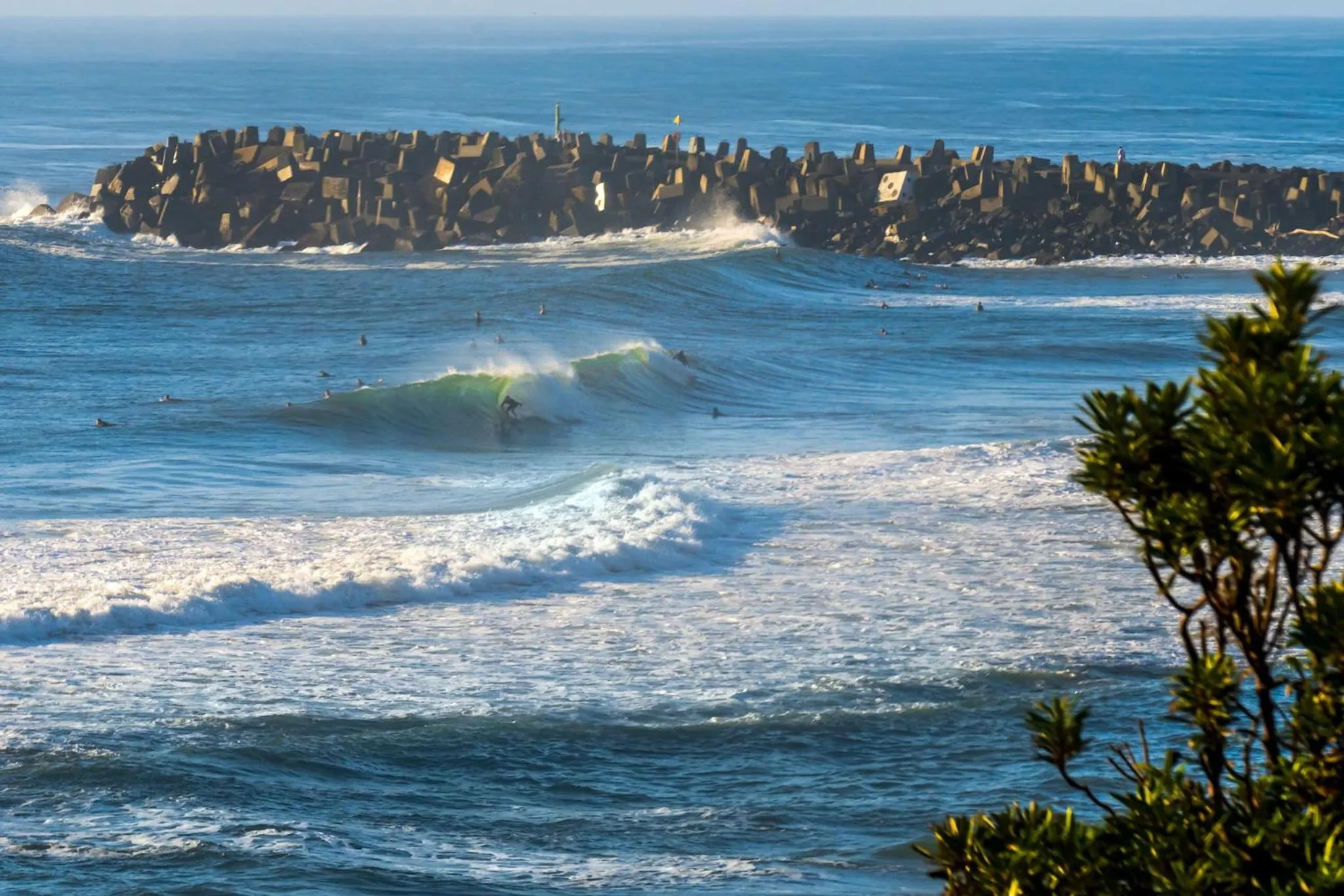Natural landscape in Riverside Holiday Apartments