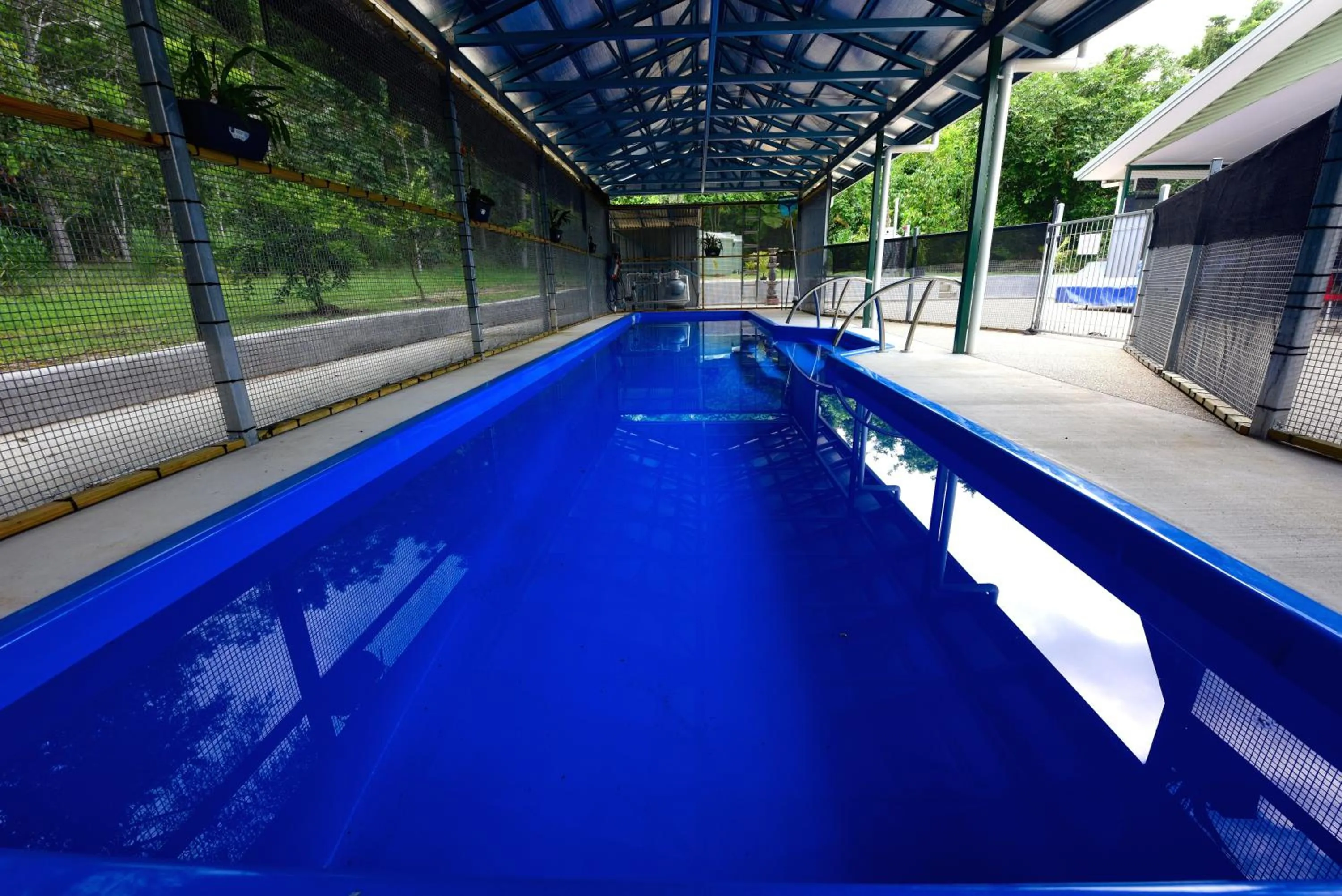 Pool view in Daintree Peaks ECO Stays