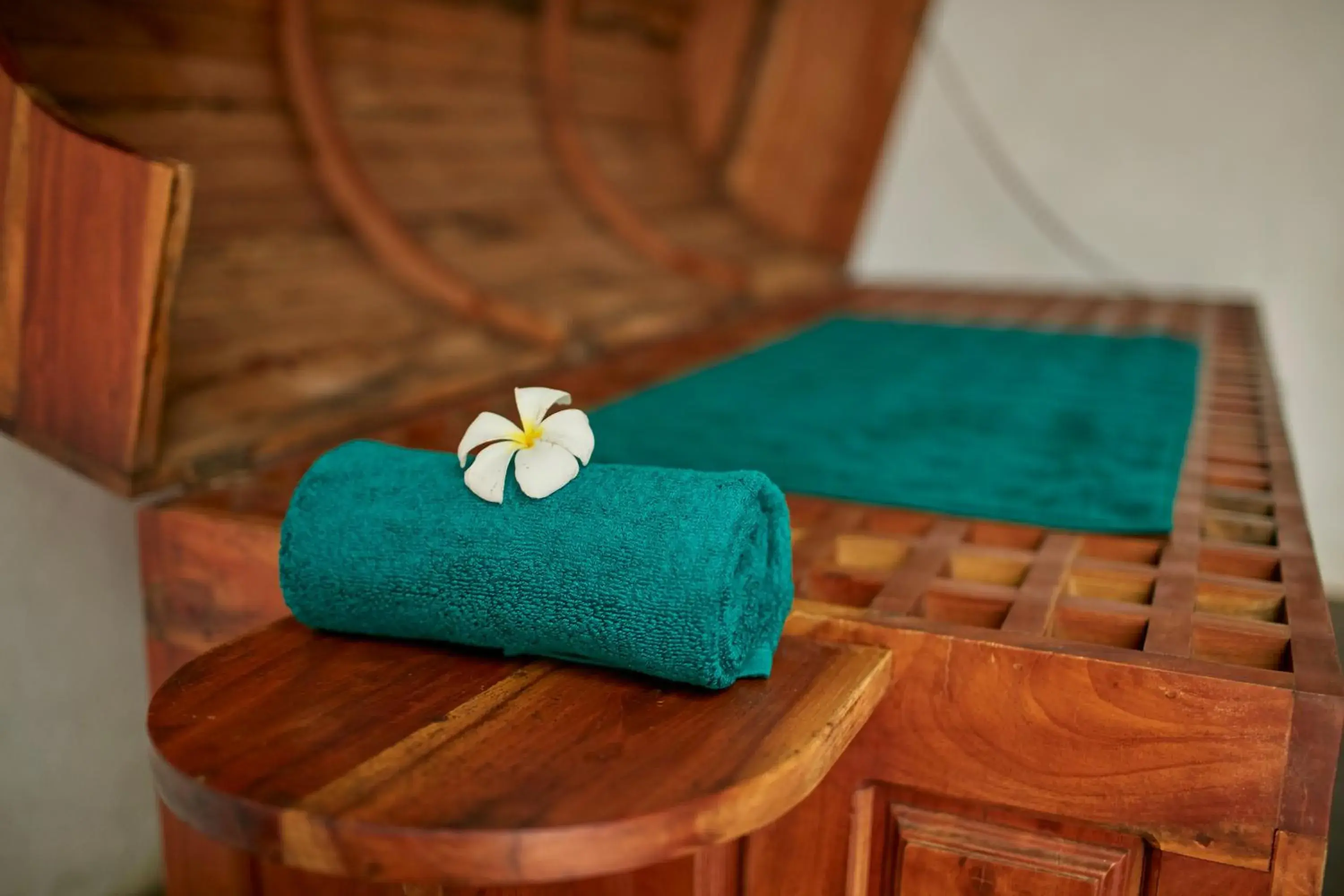 Spa and wellness centre/facilities in Hotel Sigiriya Spa and wellness centre/facilities in Hotel Sigiriya