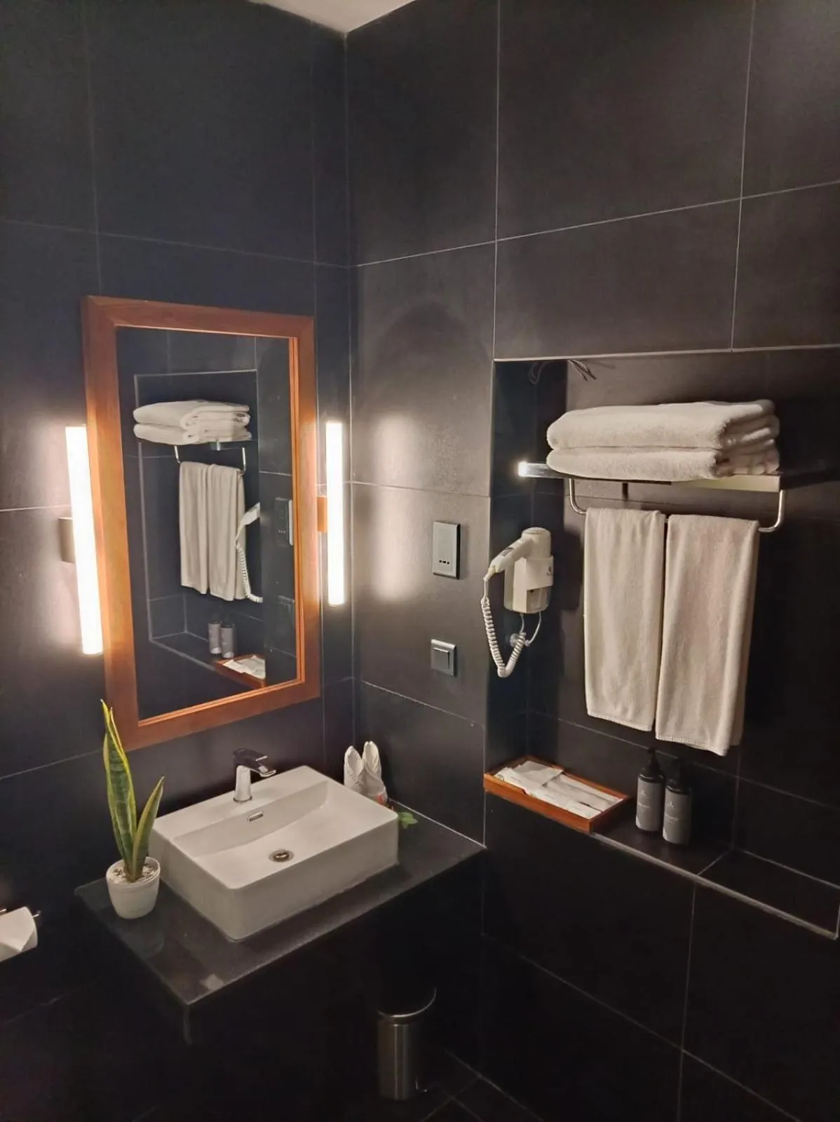 Bathroom in Hotel Sigiriya