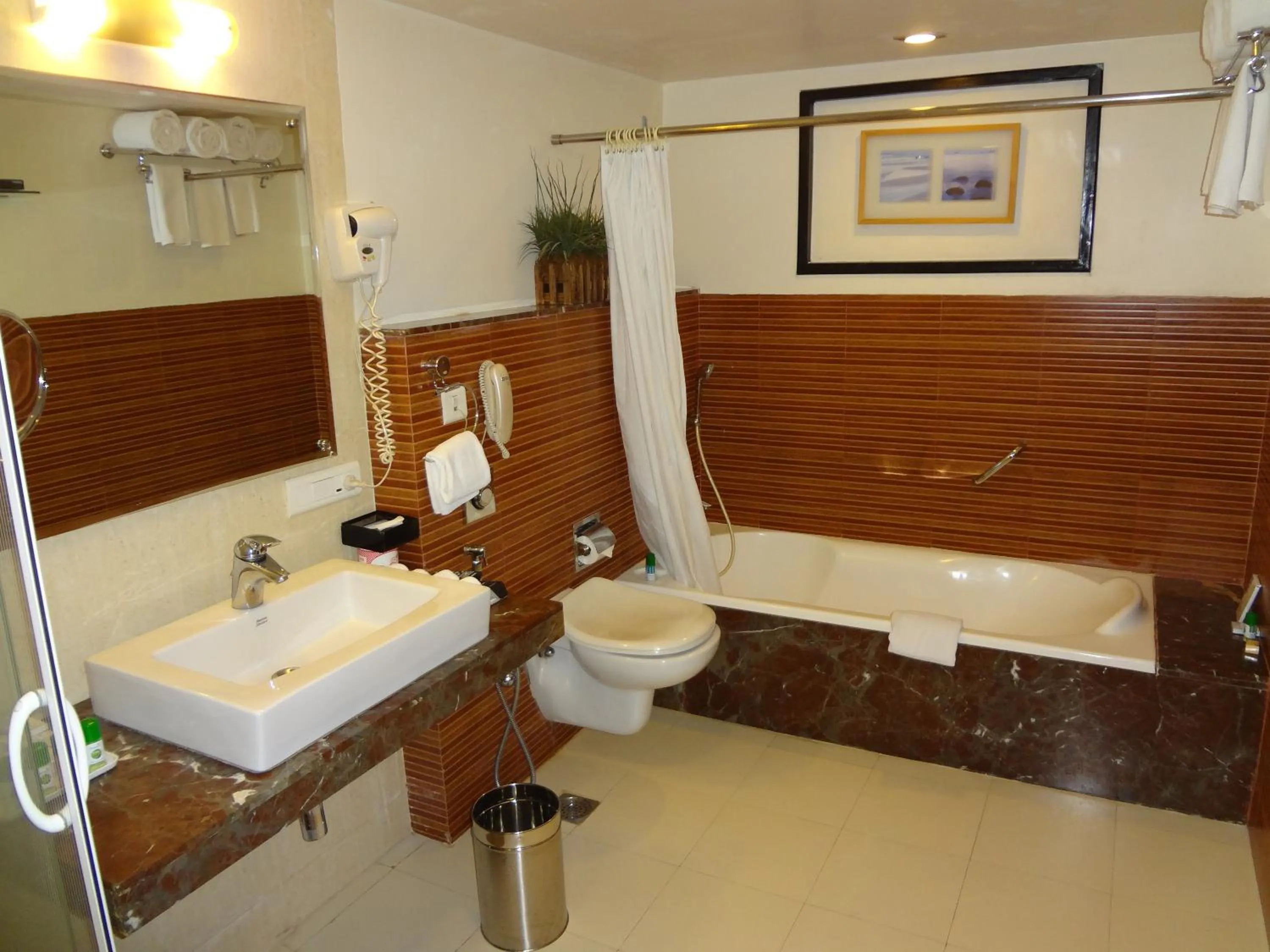 Bathroom in Fortune Inn Sree Kanya, Visakhapatnam - Member ITC Hotels' Group