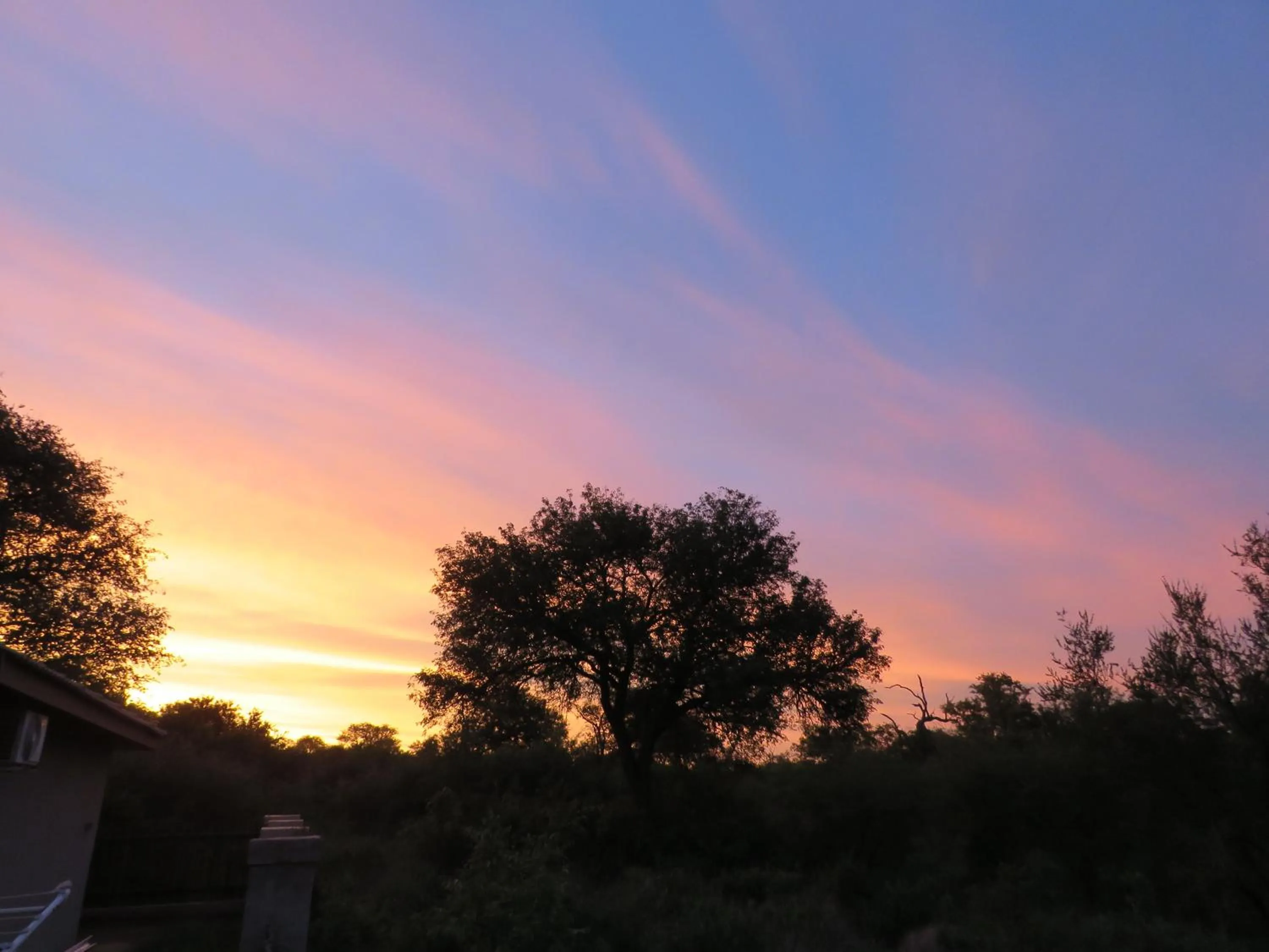 Sunset in Wild Dog Guest Lodge