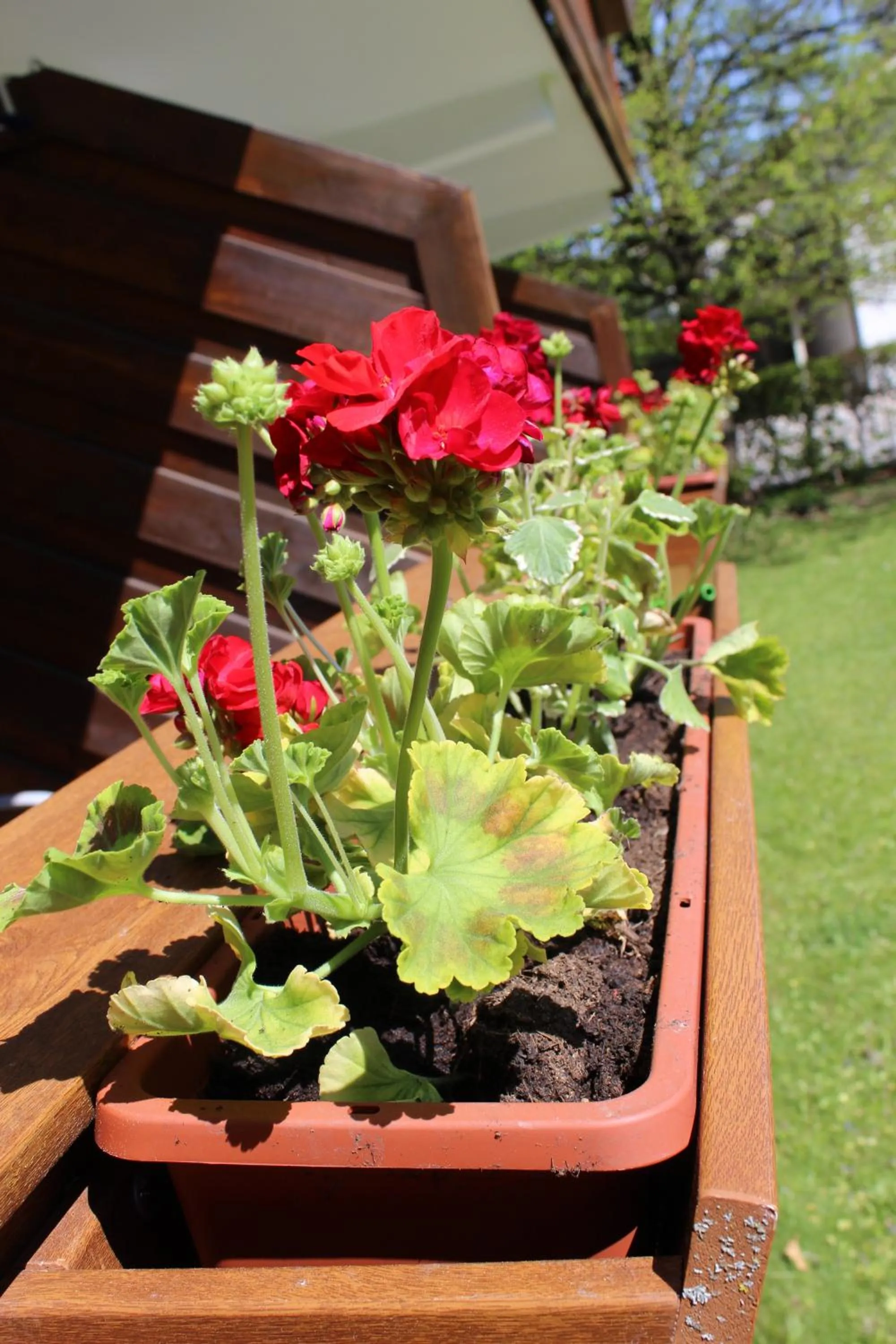 Spring in Appartement-Hotel Happy Kienberg