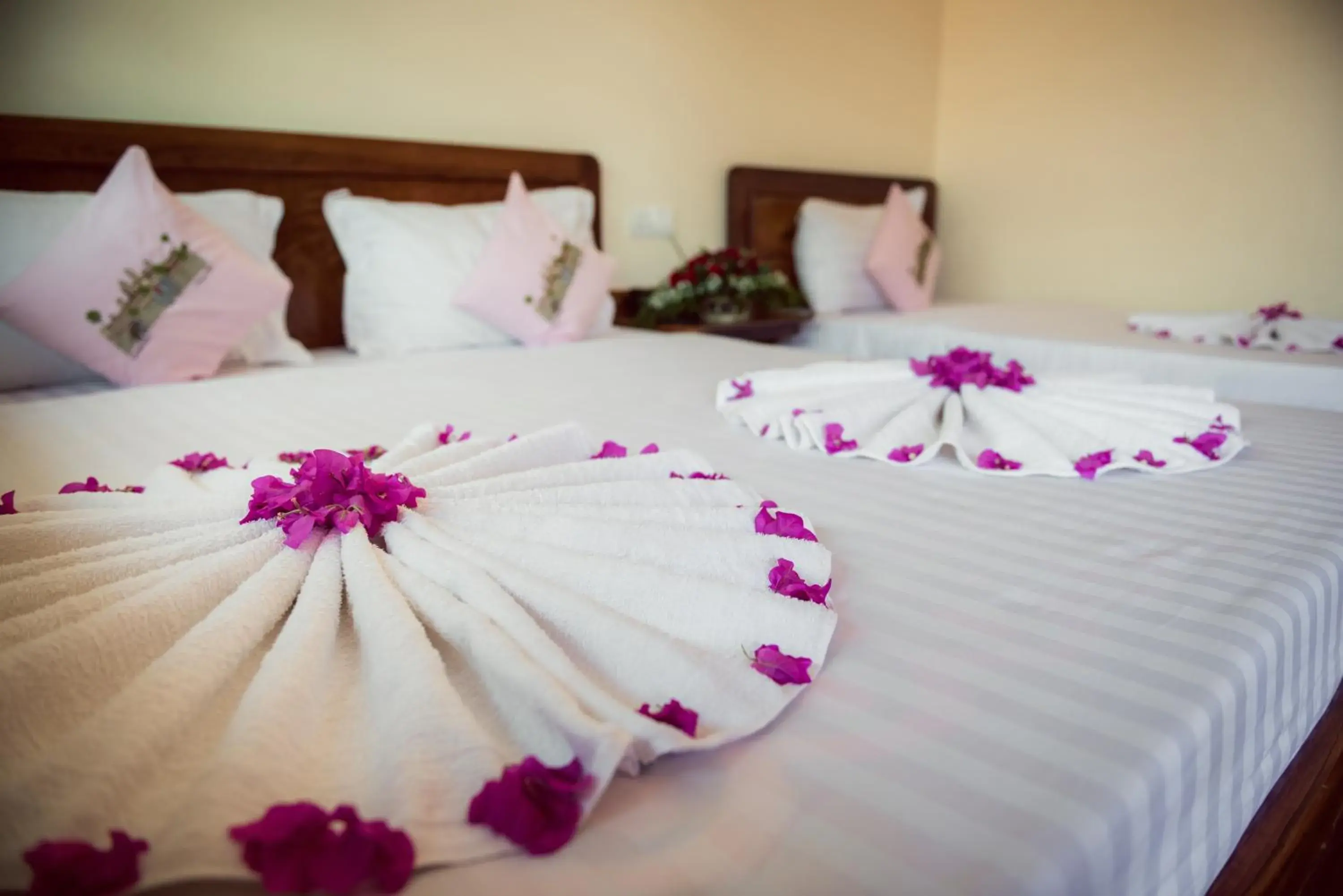 Photo of the whole room, Bed in Seng Hout Hotel Photo of the whole room, Bed in Seng Hout Hotel