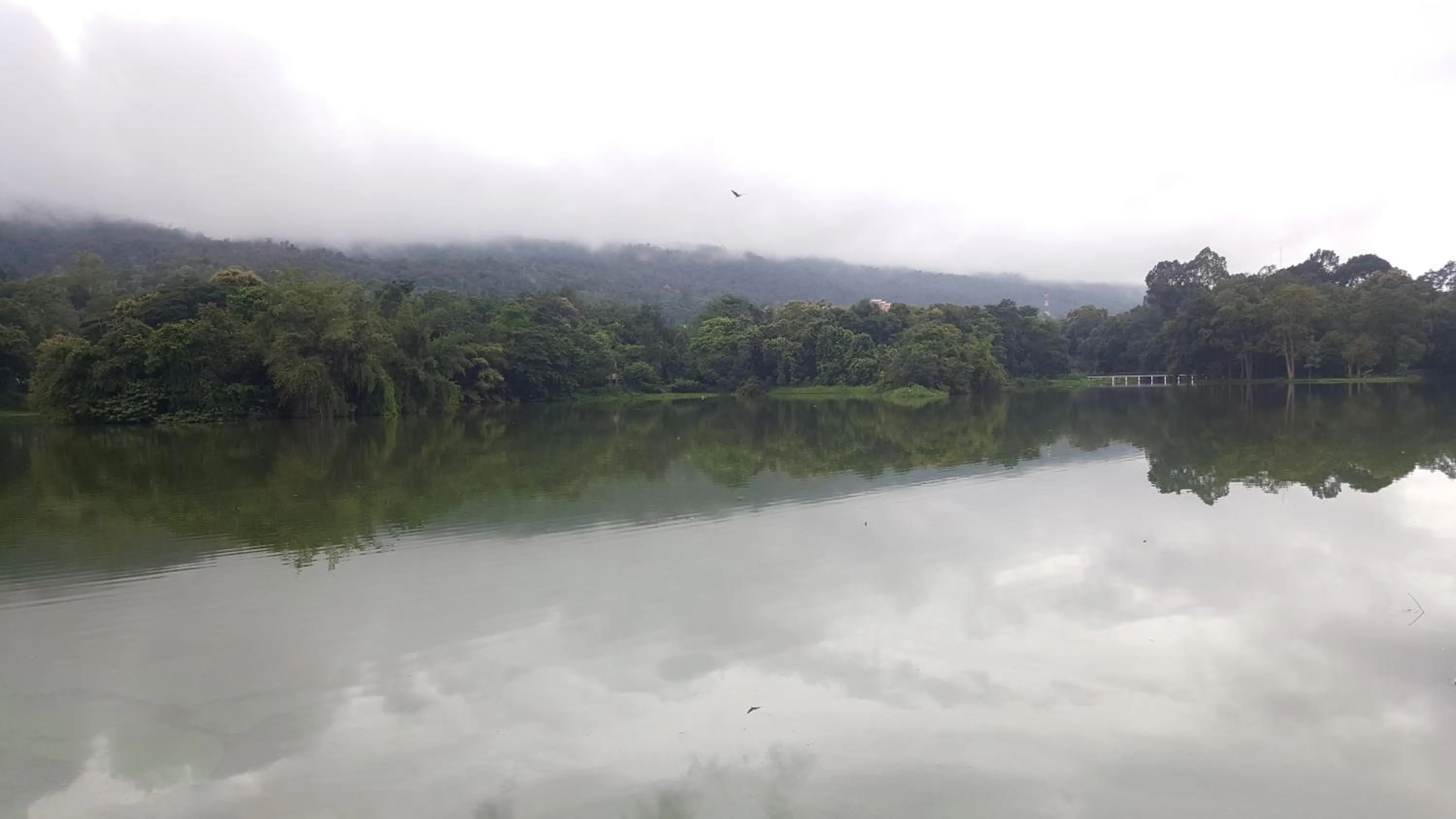 Aunt & Uncle's House