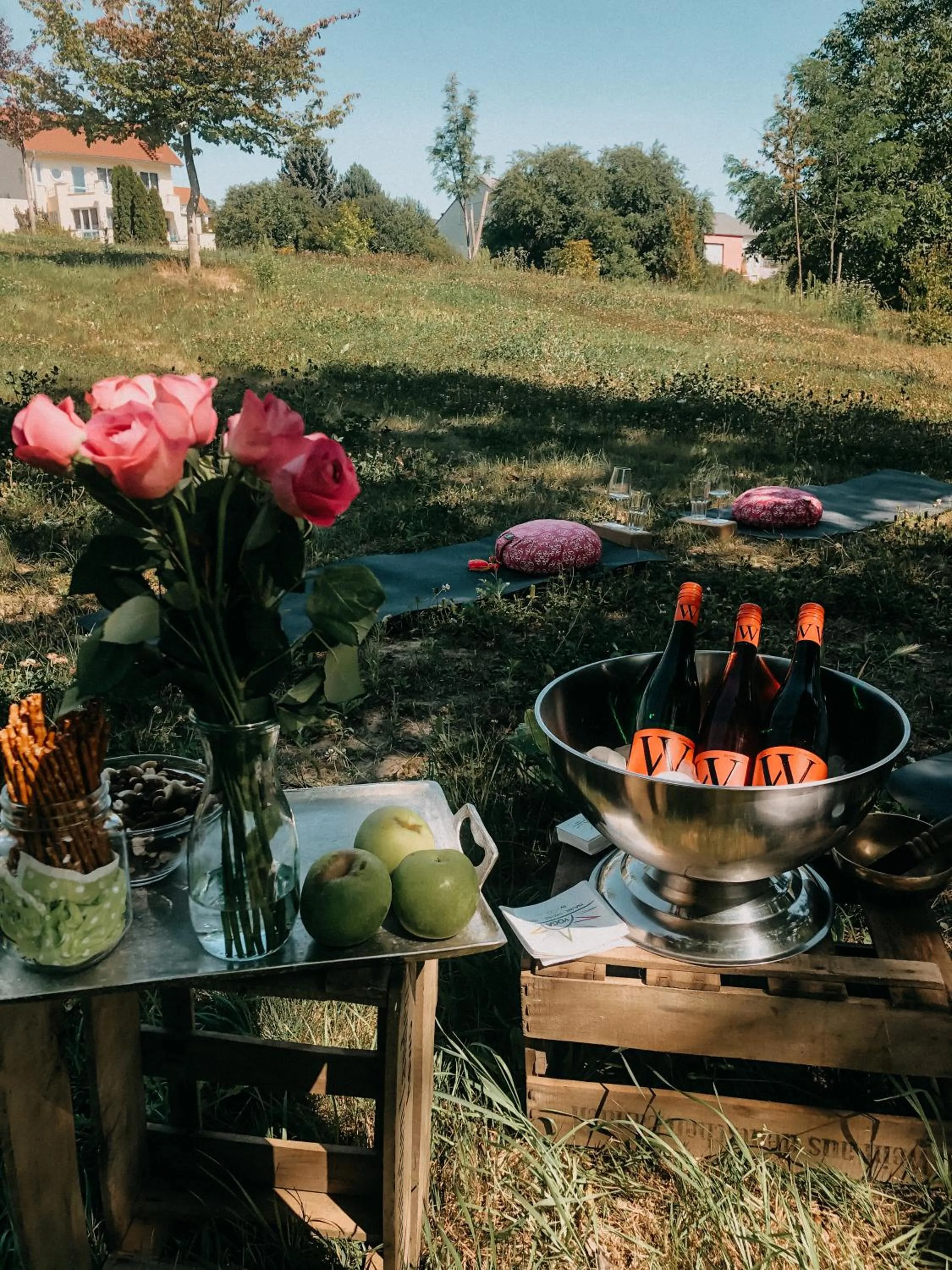 Activities in Weinhotel Wasem