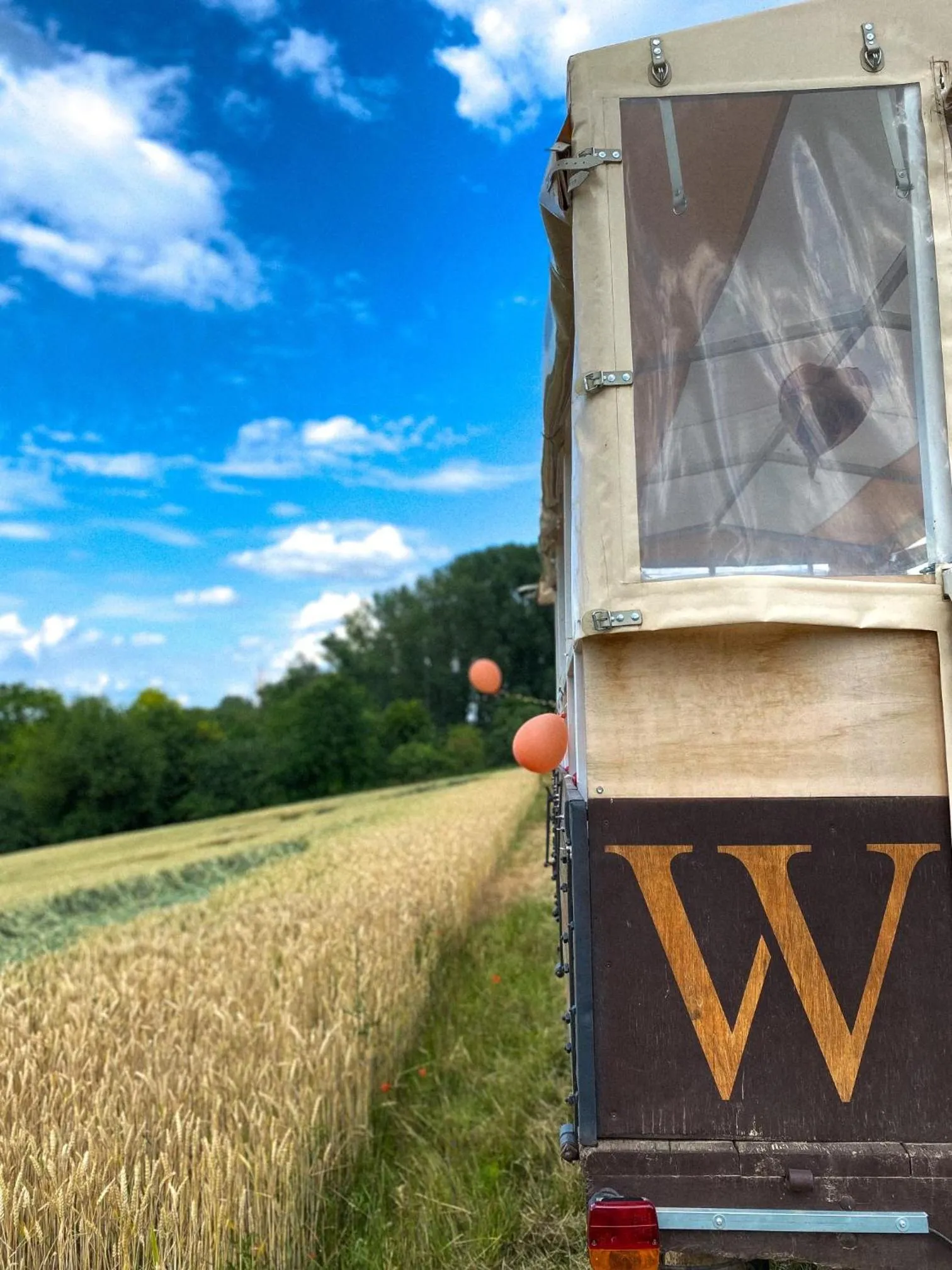 Activities in Weinhotel Wasem