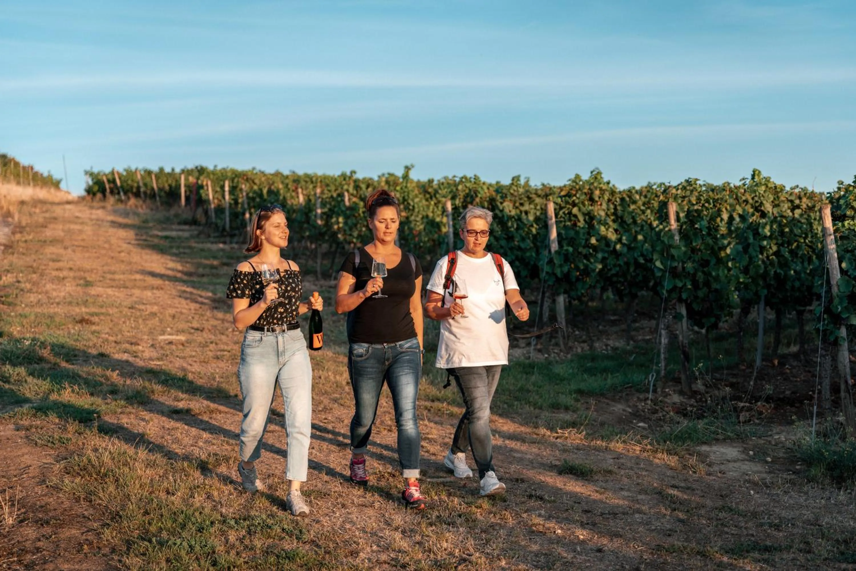 Activities in Weinhotel Wasem