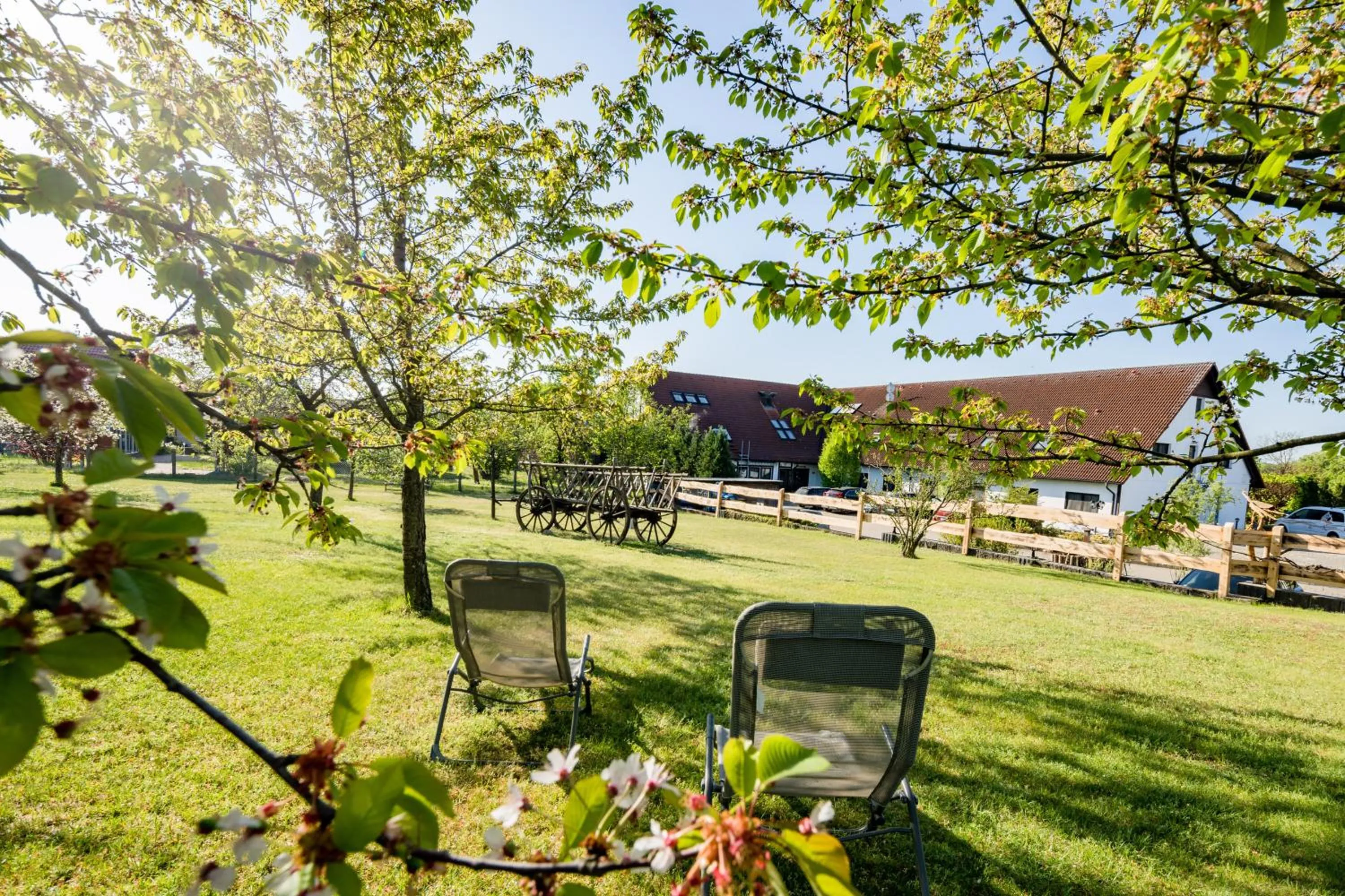Garden in Landhotel Krausnick