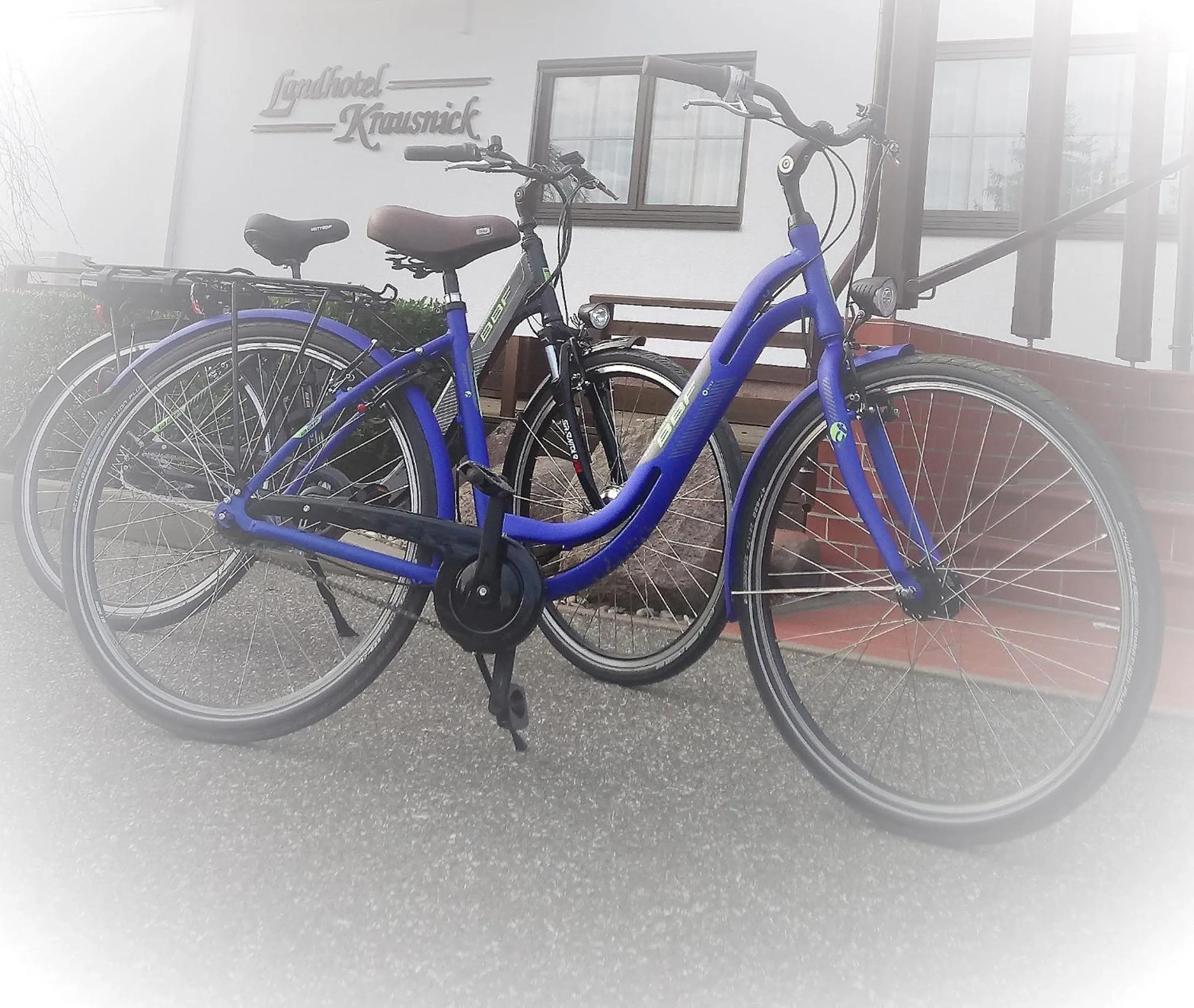 Cycling in Landhotel Krausnick