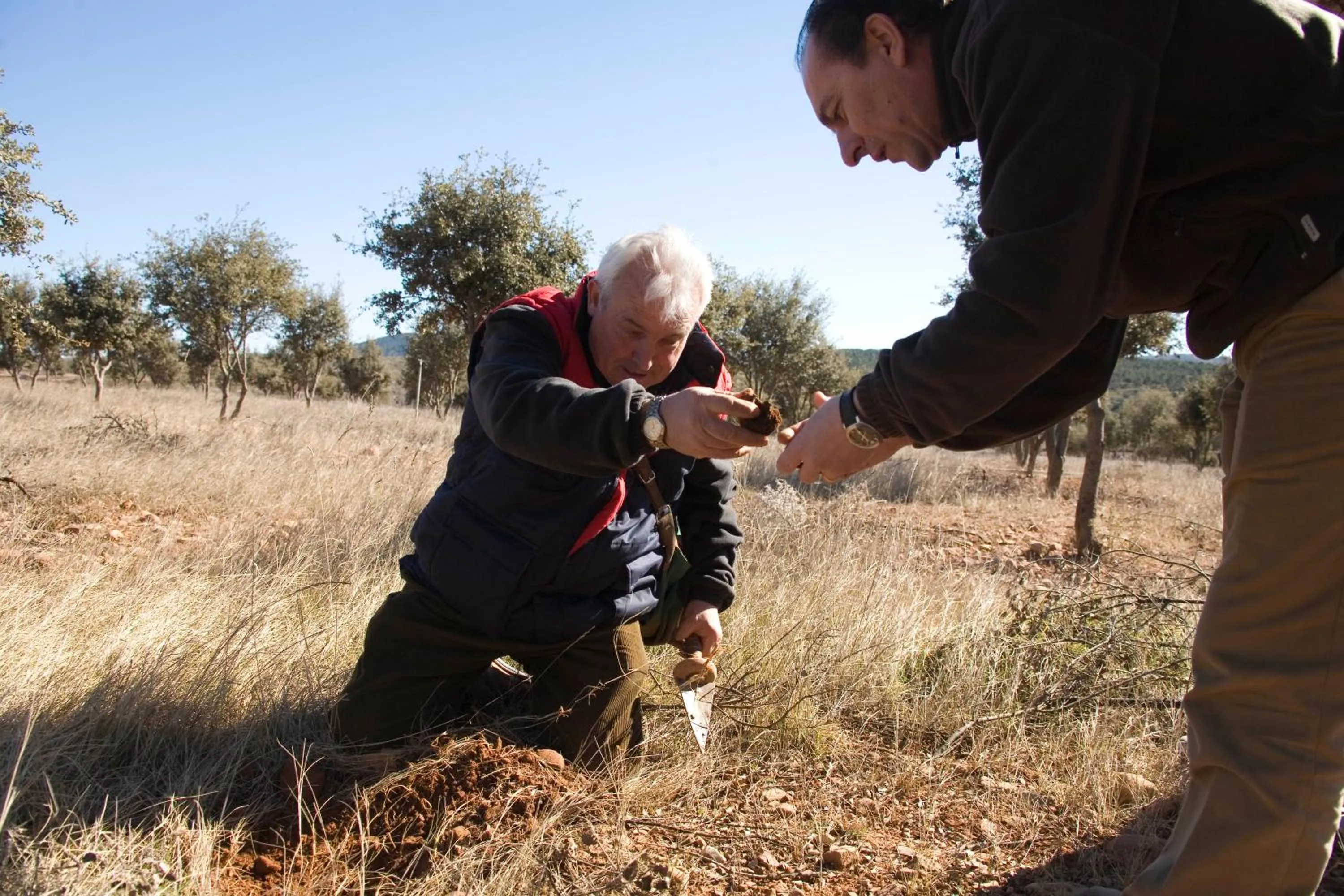 Guests in Hotel Los Leones - Adults Only