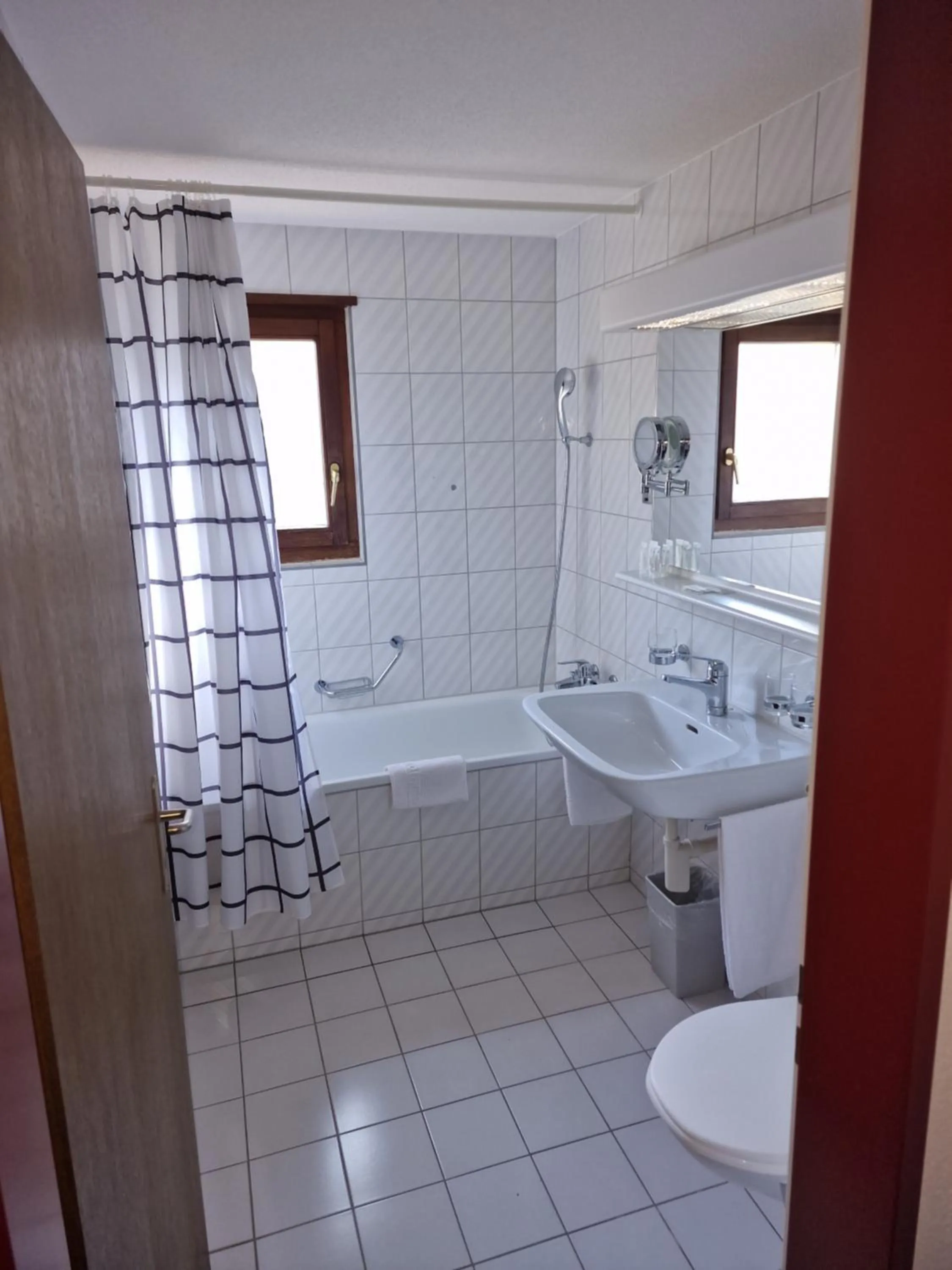 Bathroom in Hotel Alpha Thun