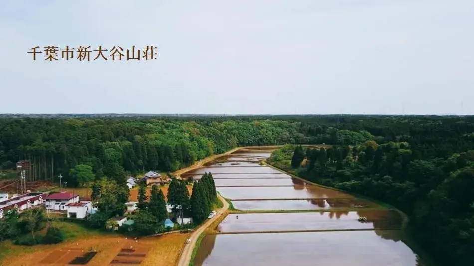 Hotel New Otani Hotel New Otani