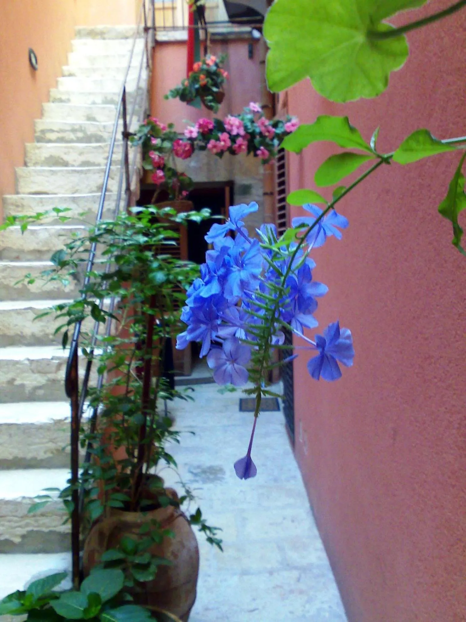 Garden in Il Cortile Fiorito