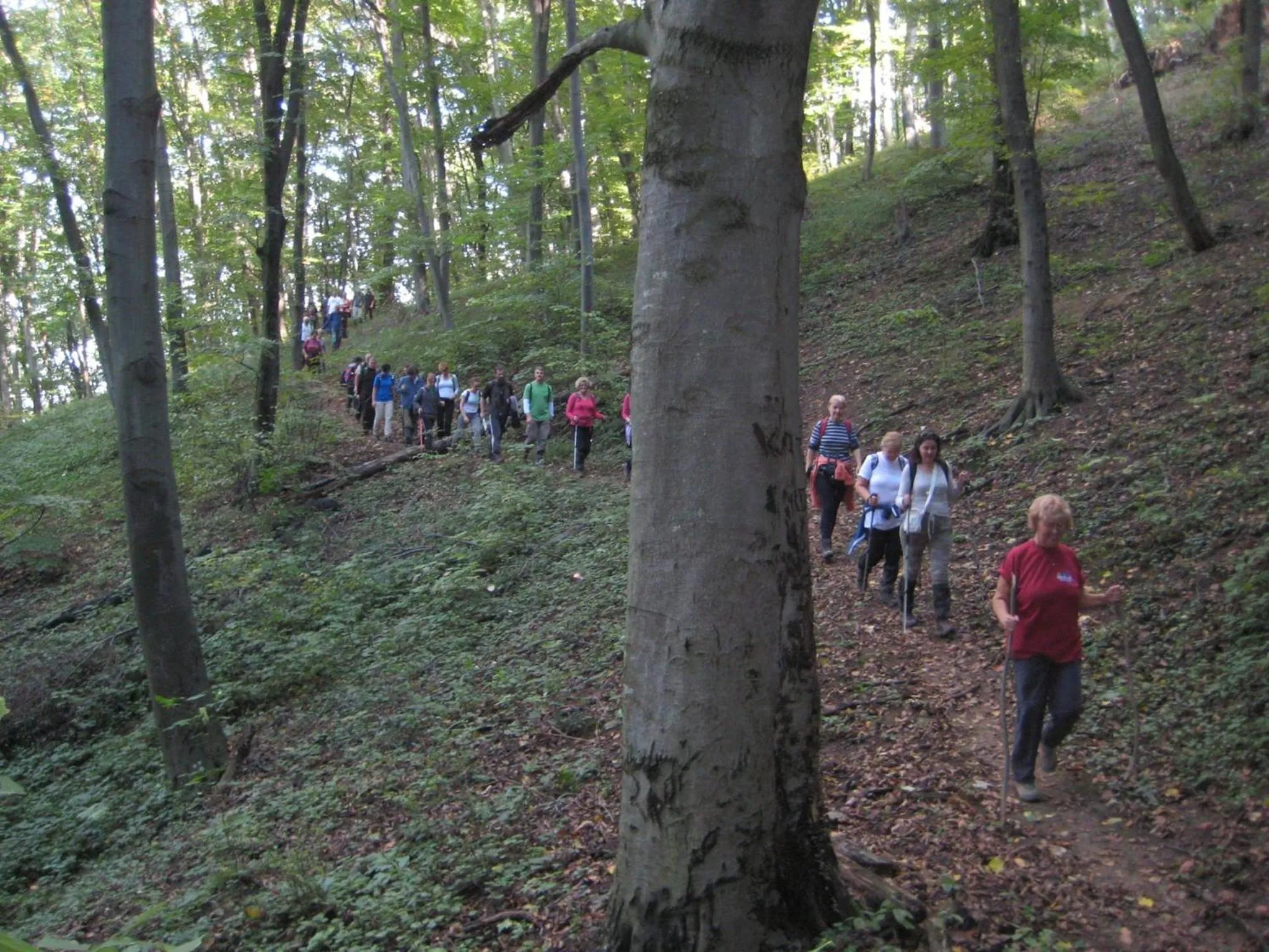 Hiking in Hotel 1000 Ruza