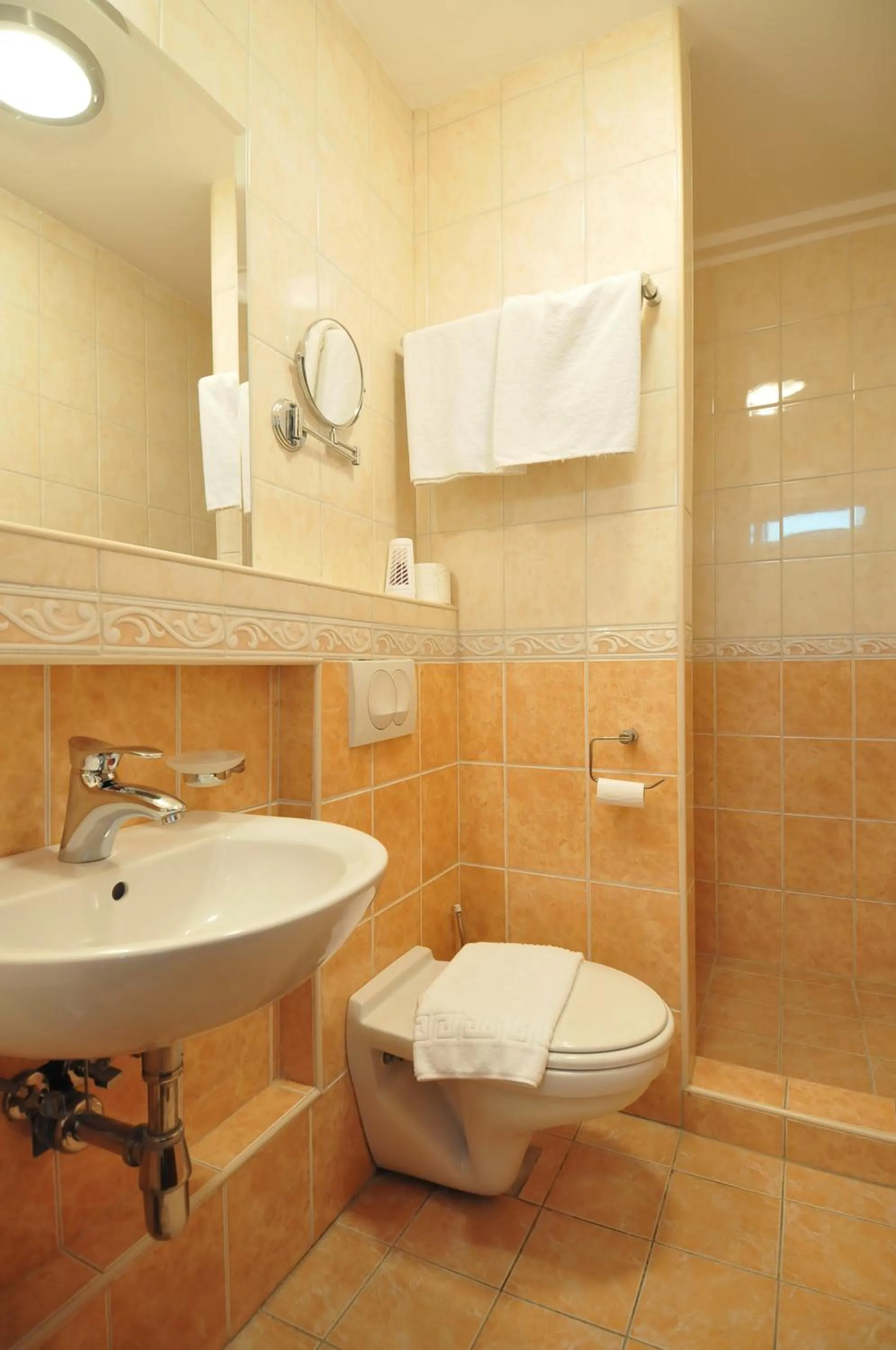 Bathroom in Hotel 1000 Ruza