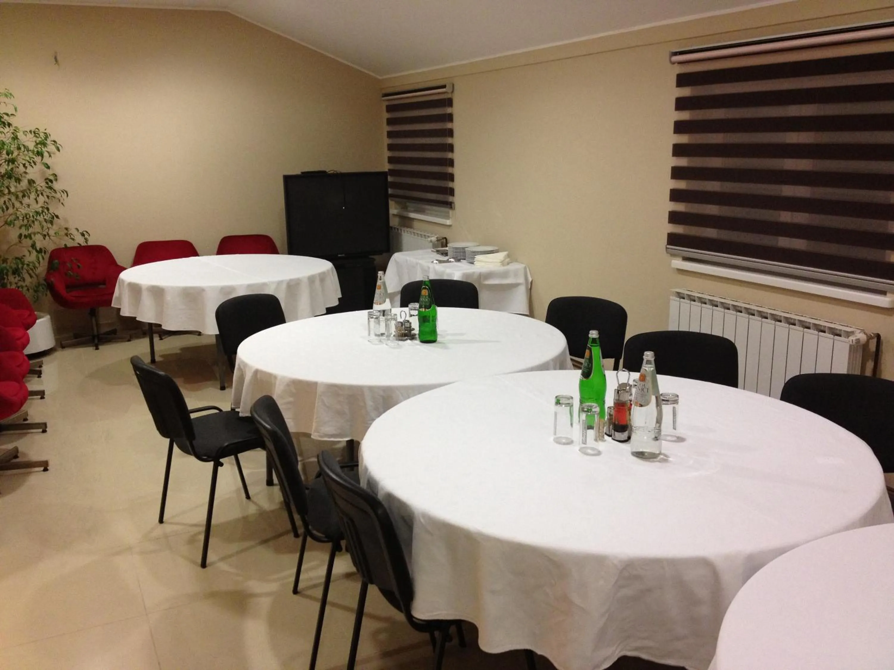 Business facilities in Hotel 1000 Ruza