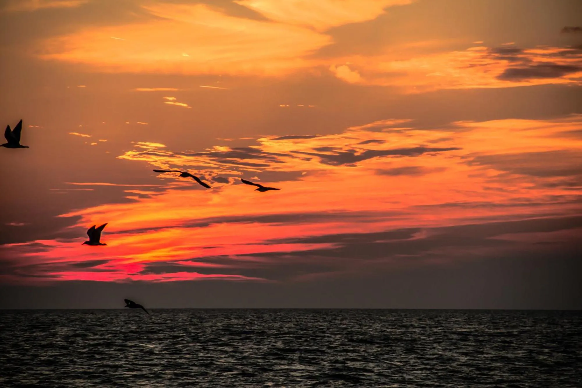 Nearby landmark in Paoline's suite in villa