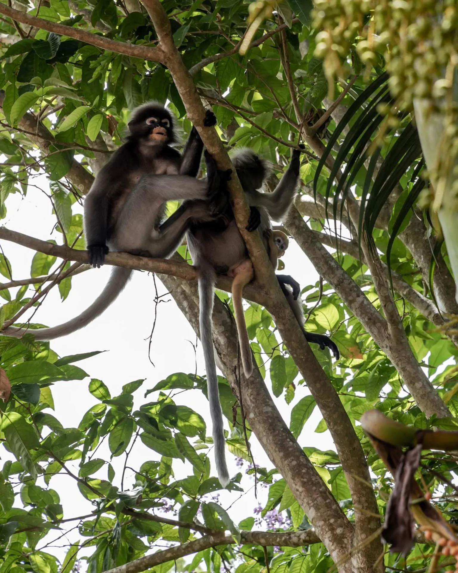 Natural landscape in Pakasai Resort