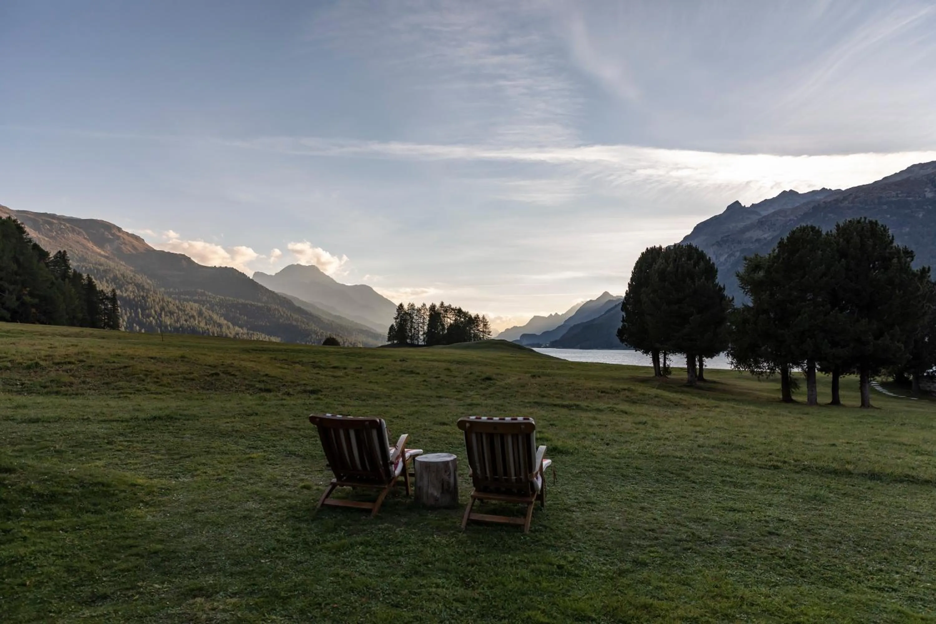 Garden in Hotel Bellavista
