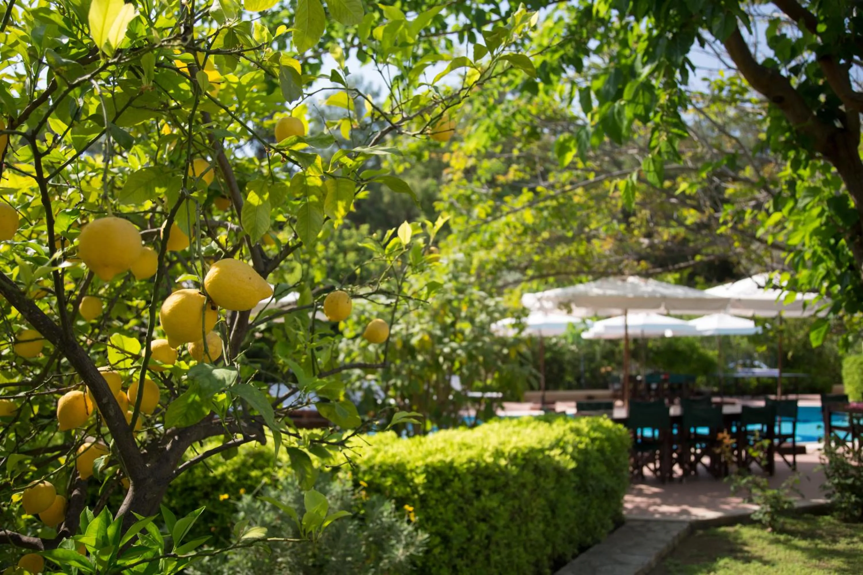 Day in Mr. Dim Exclusive Apart Hotel