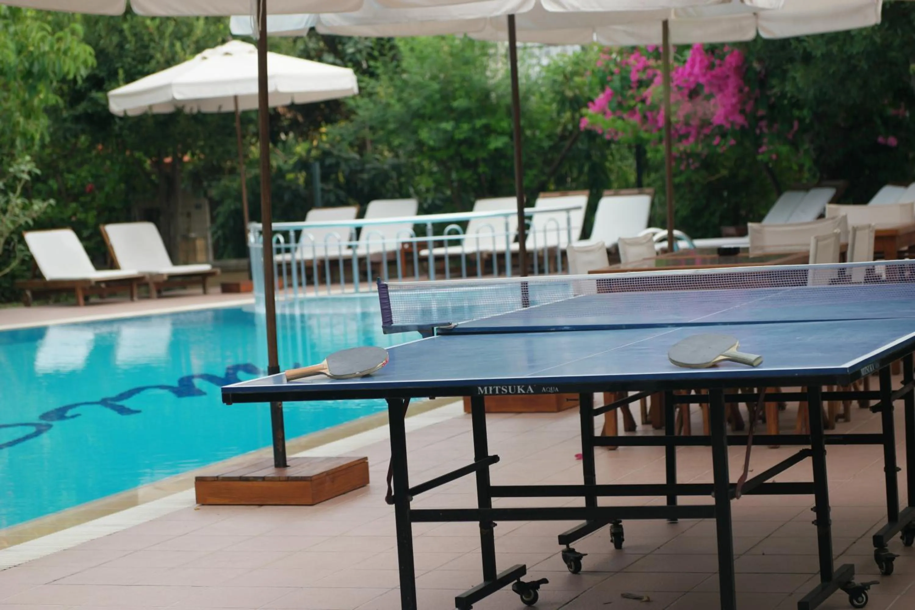 Garden in Mr. Dim Exclusive Apart Hotel