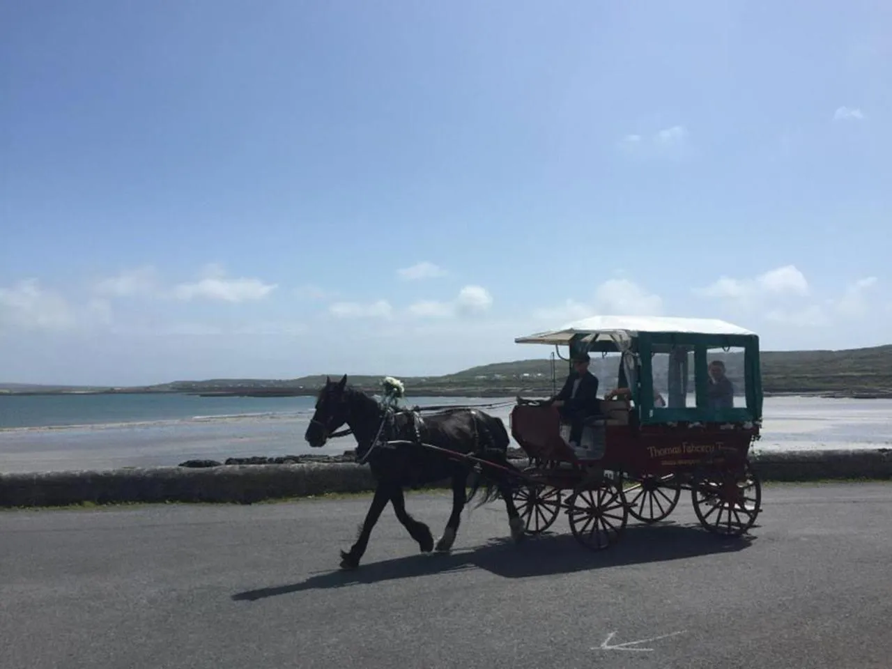 Horse-riding in Seacrest B&B