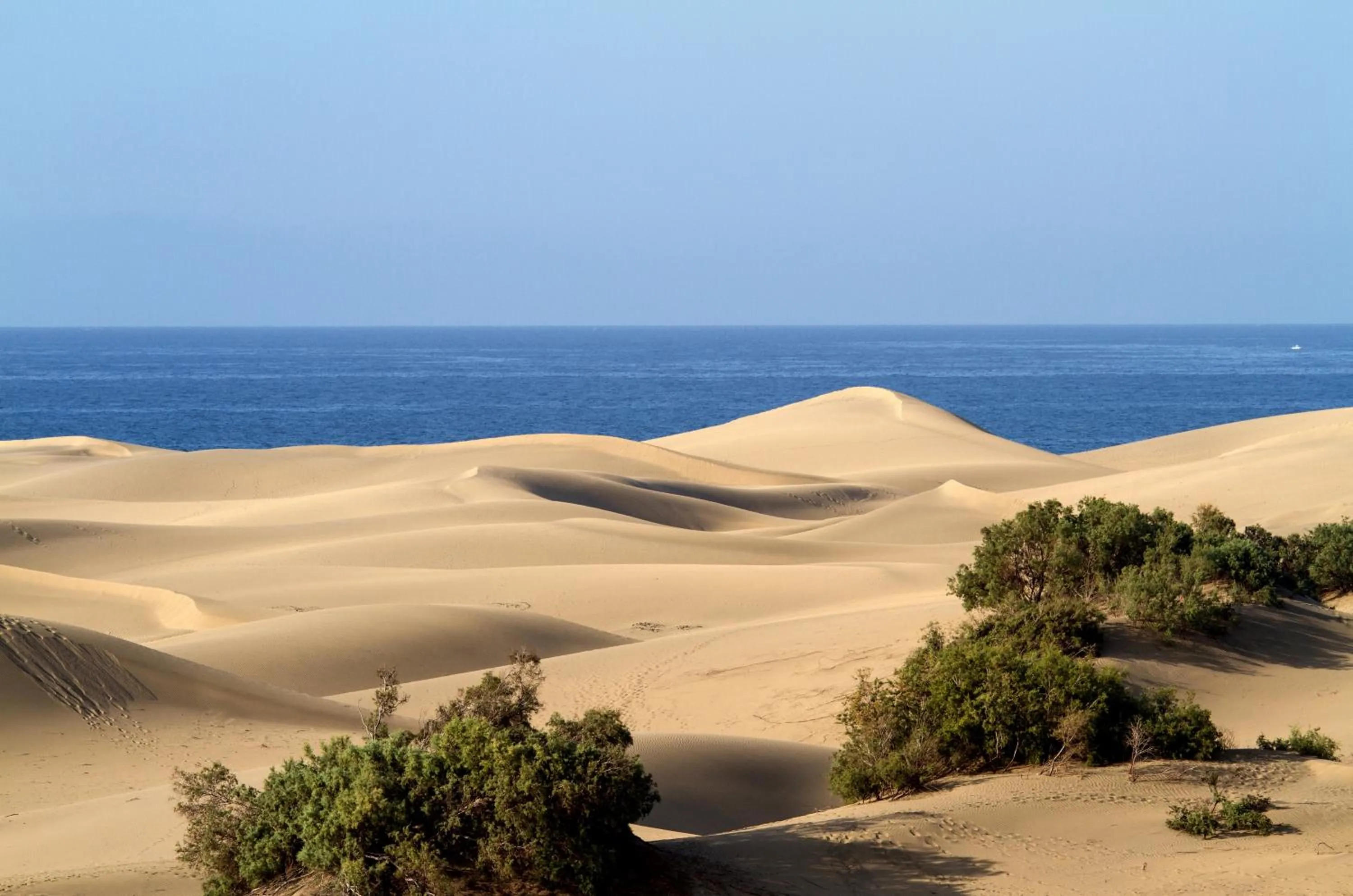 Natural landscape in Bungalow en Maspalomas